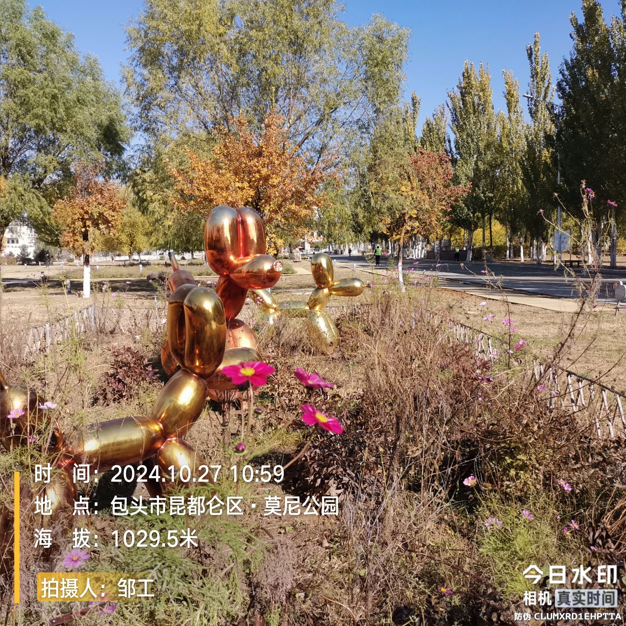 莫尼公园旅行图片 2