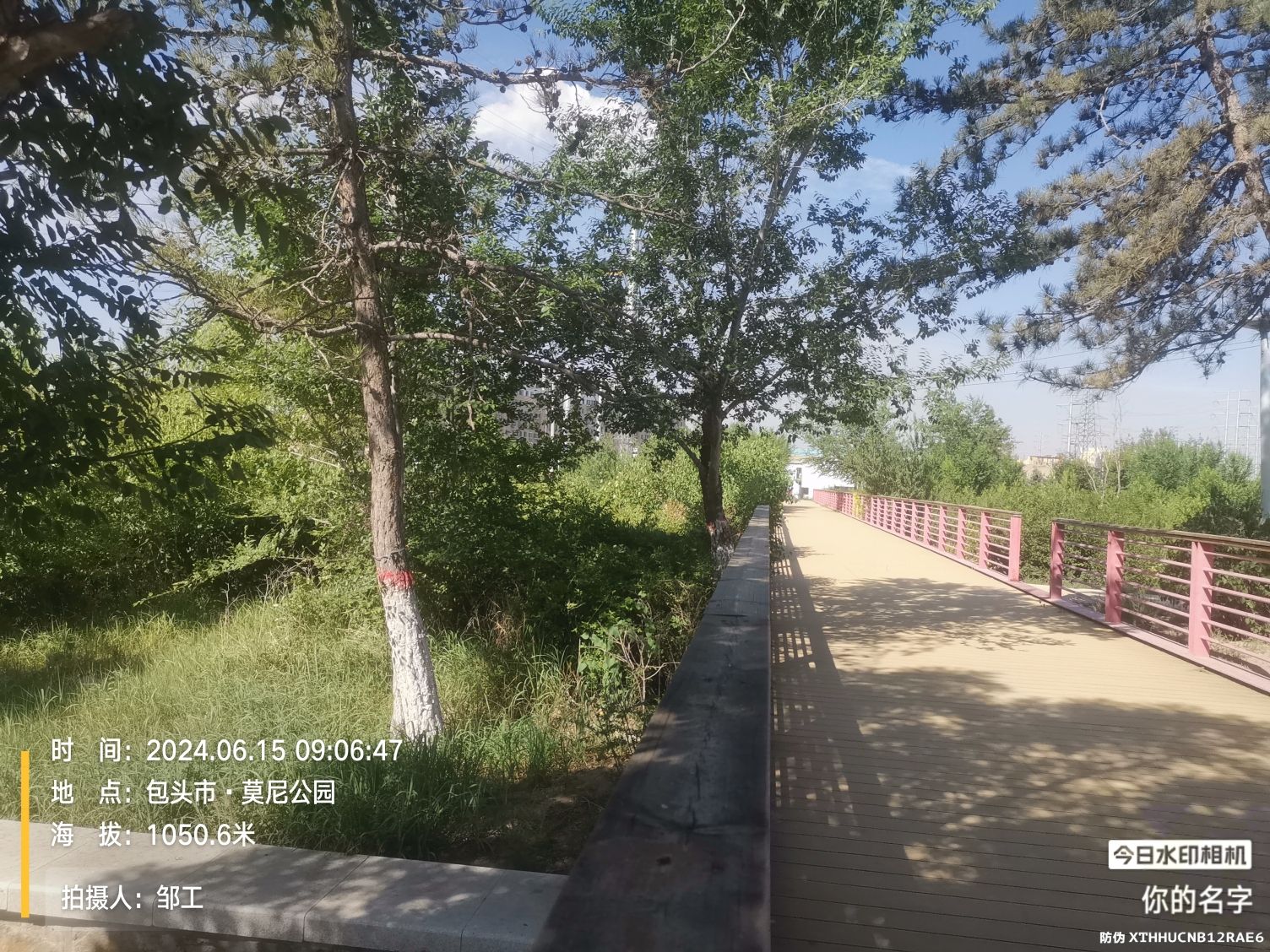 莫尼公园旅行图片 3