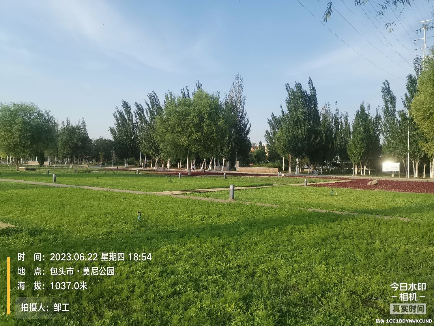 莫尼公园旅行图片 2