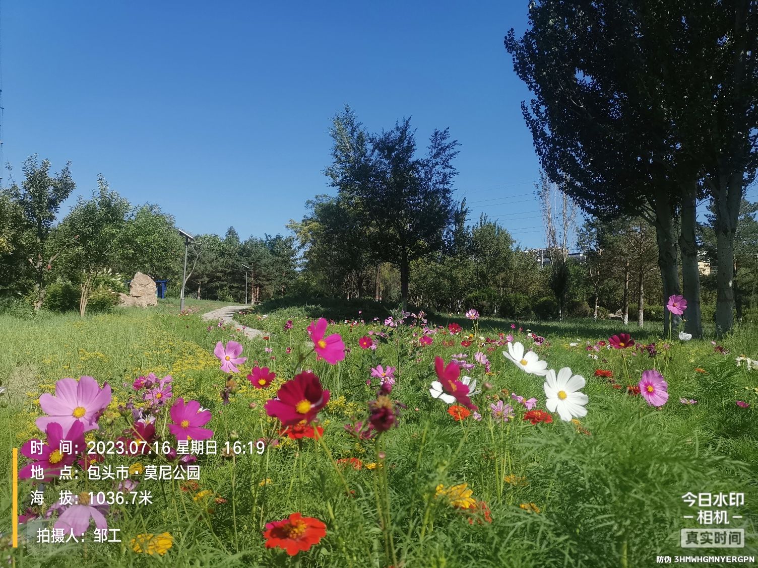 莫尼公园旅行图片 2