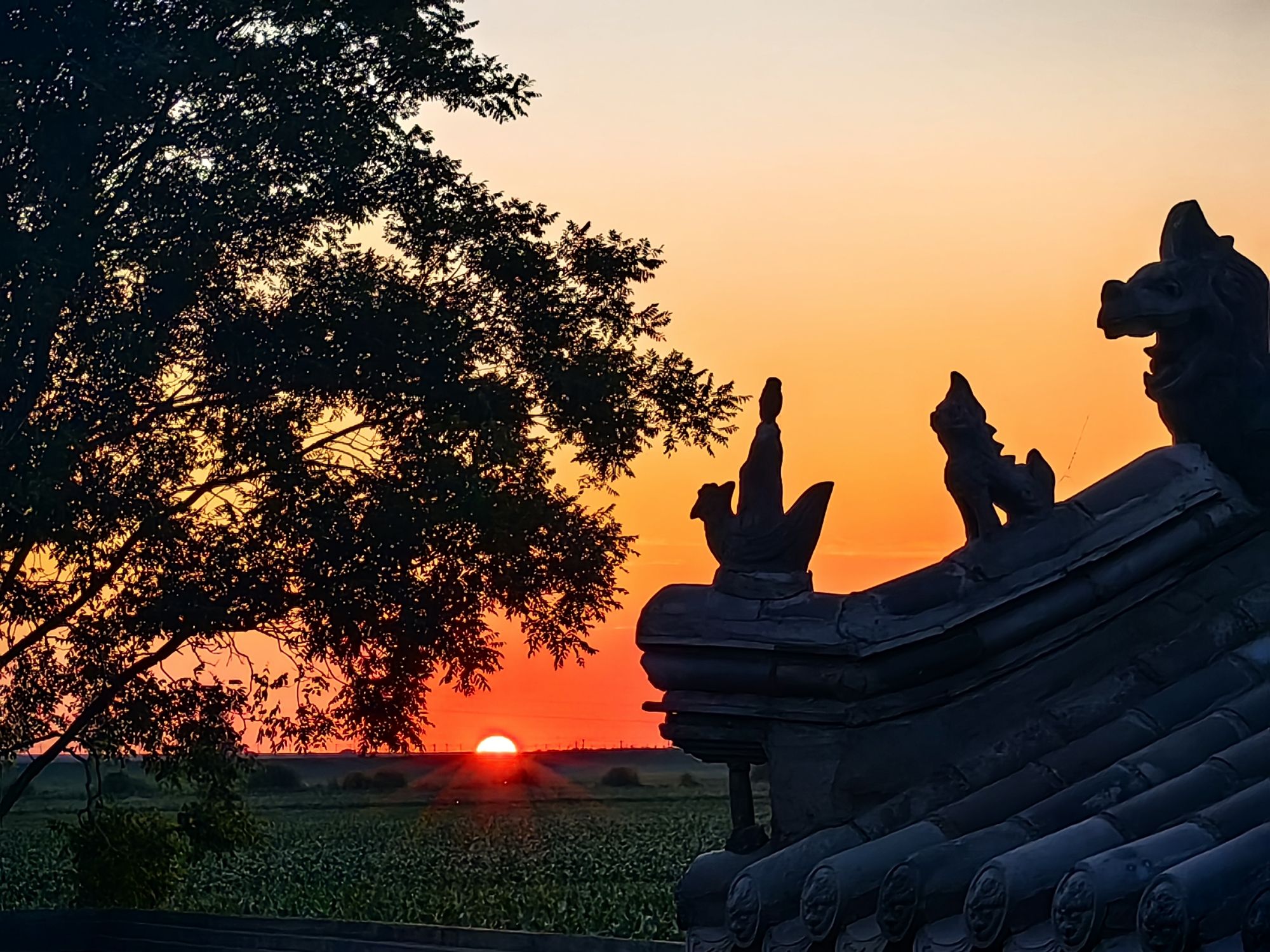 九圣宫旅行图片 1