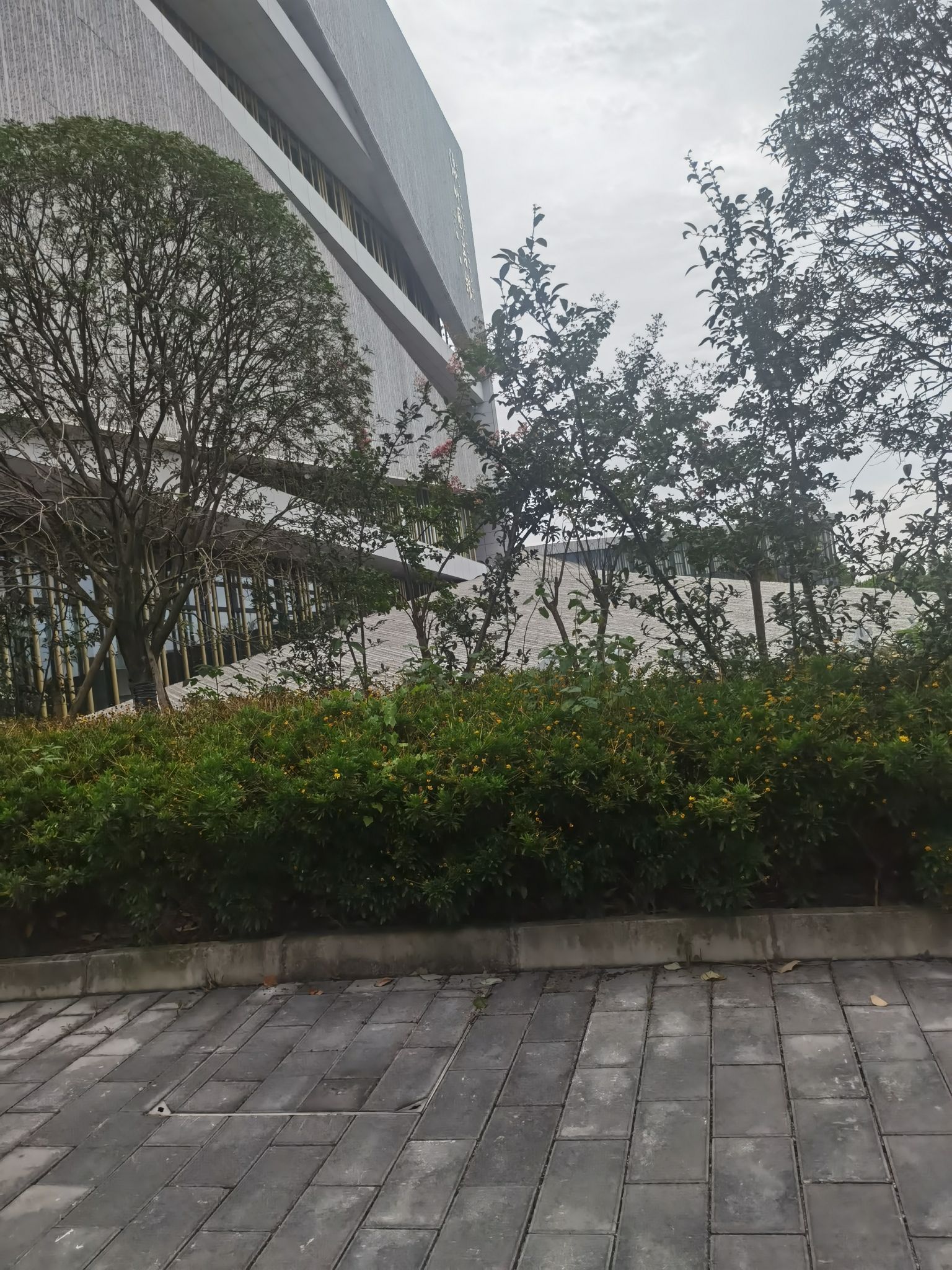 绵竹市上影华臣影院(东城巷店)
