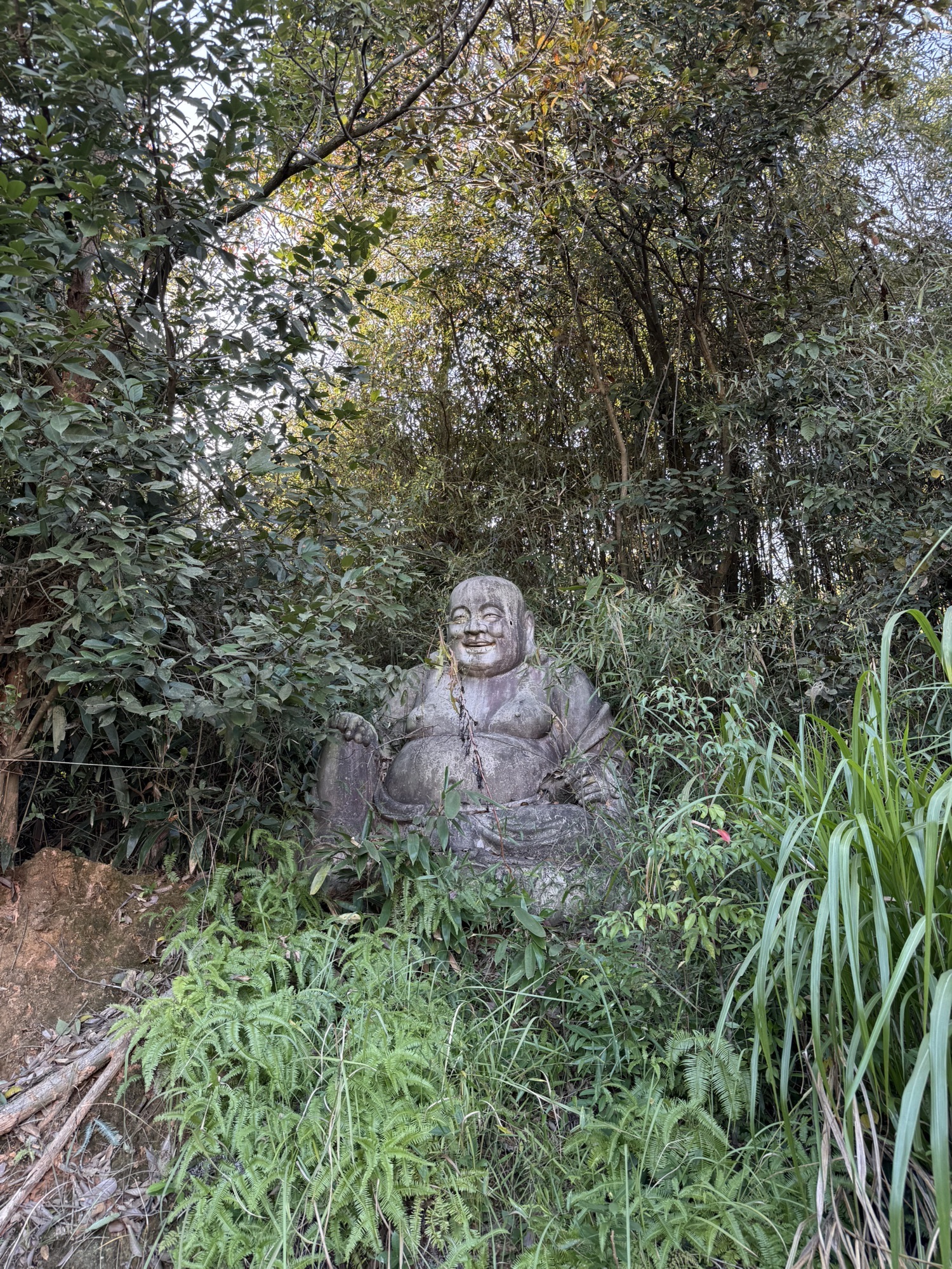 十王古寺旅行图片 2