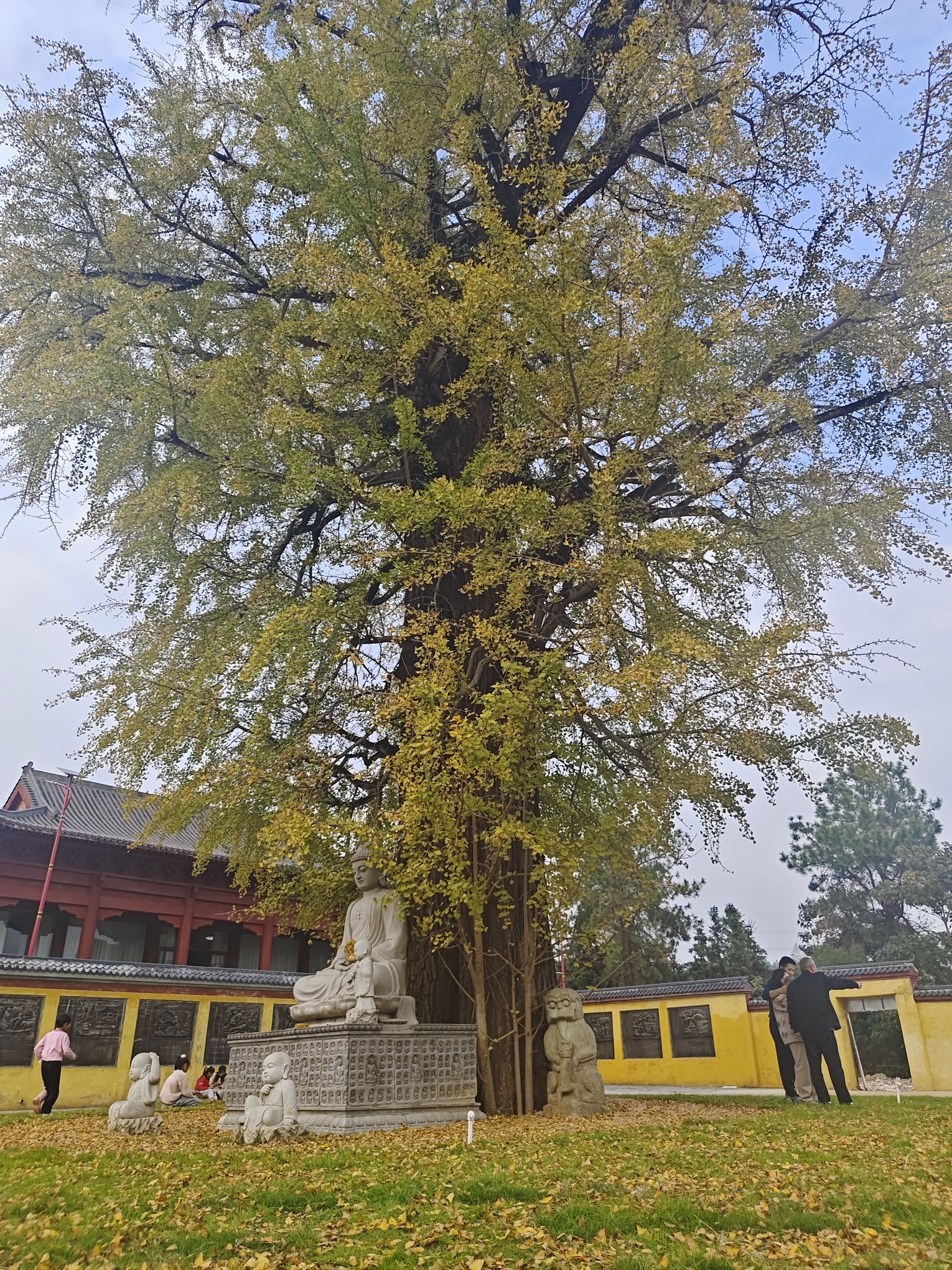 十王古寺旅行图片 1