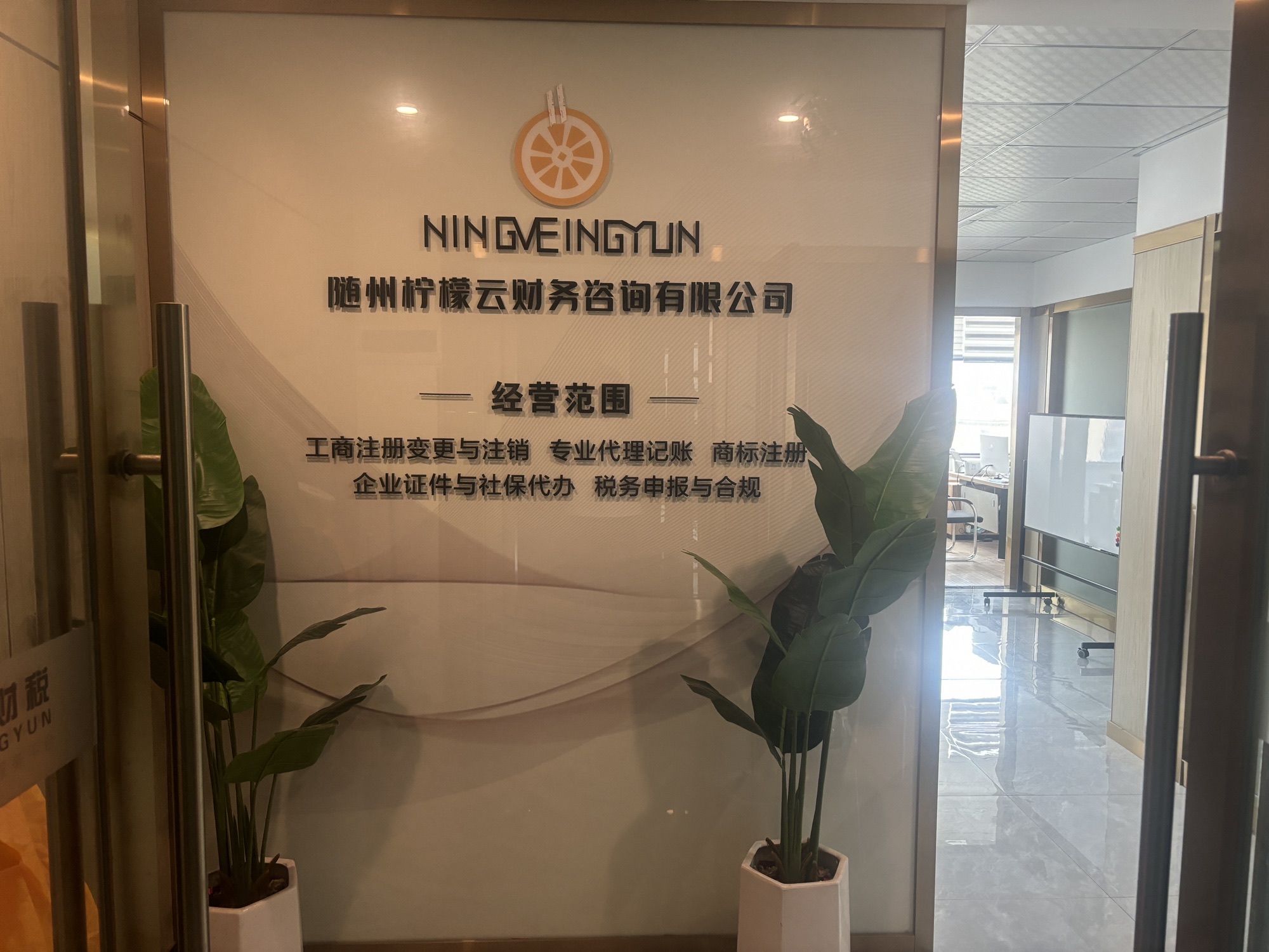 随州柠檬云财务咨询有限公司