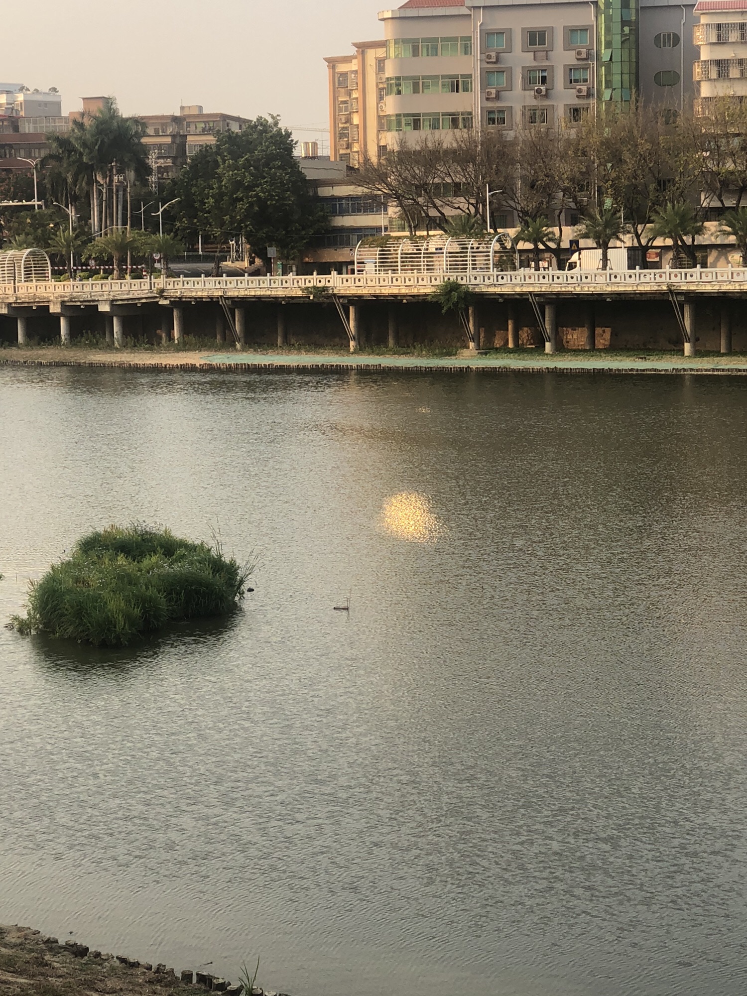 溪流生态湿地公园旅行图片 2