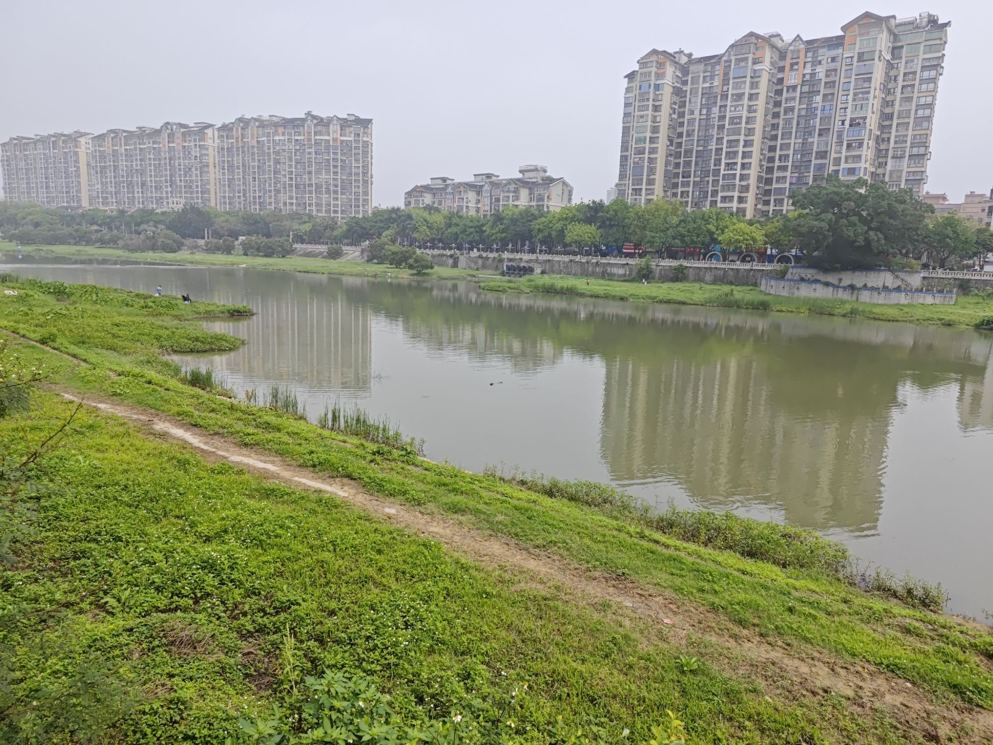 溪流生态湿地公园旅行图片 2
