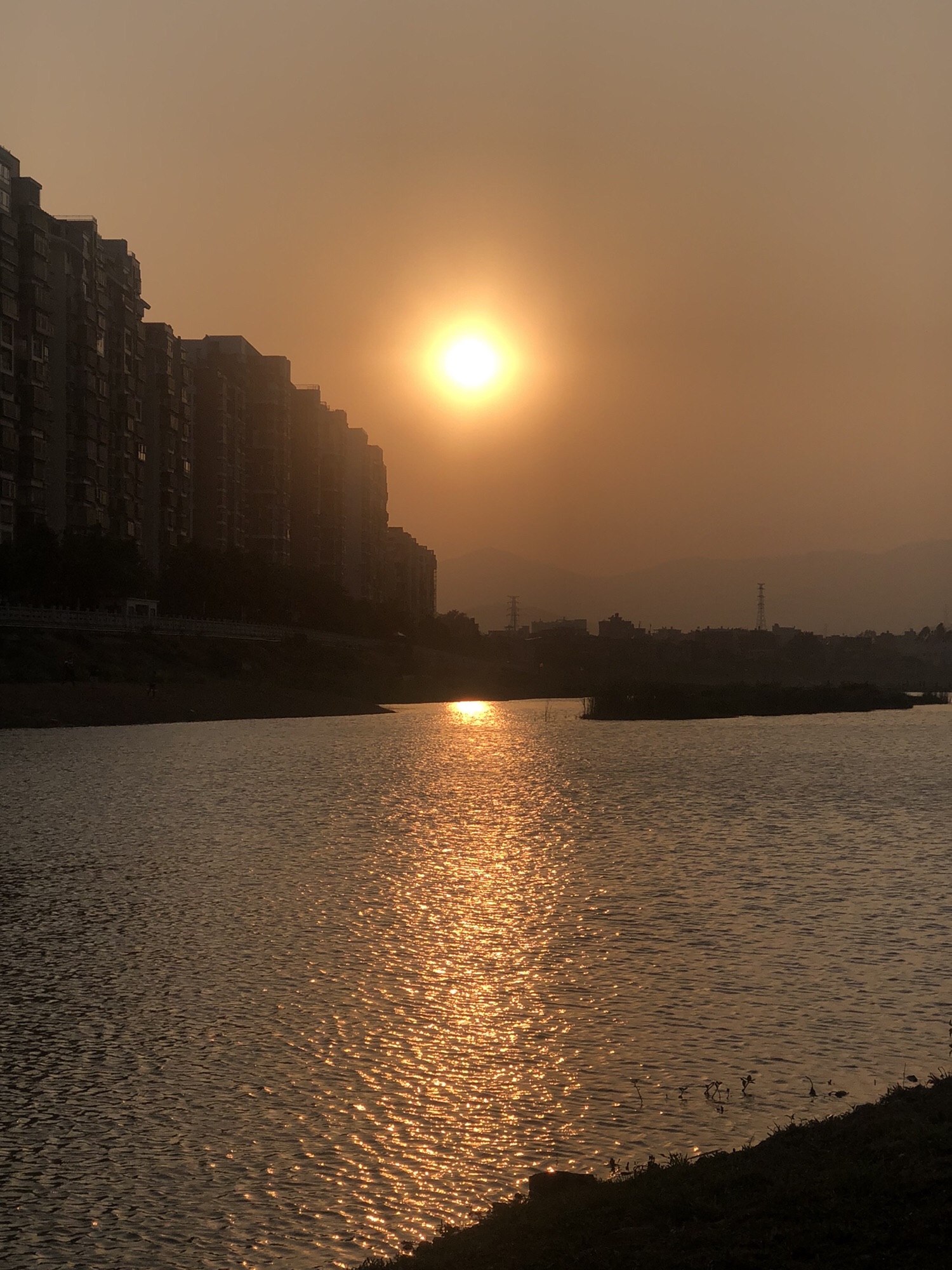 溪流生态湿地公园旅行图片 3