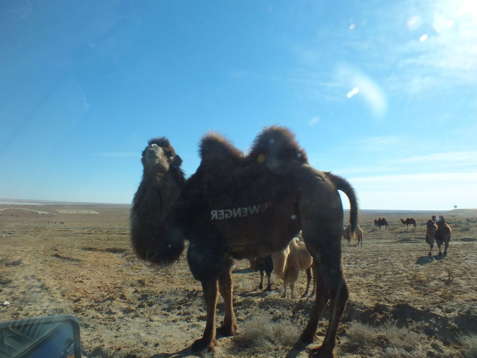 真蒙国际地景艺术园旅行图片 1