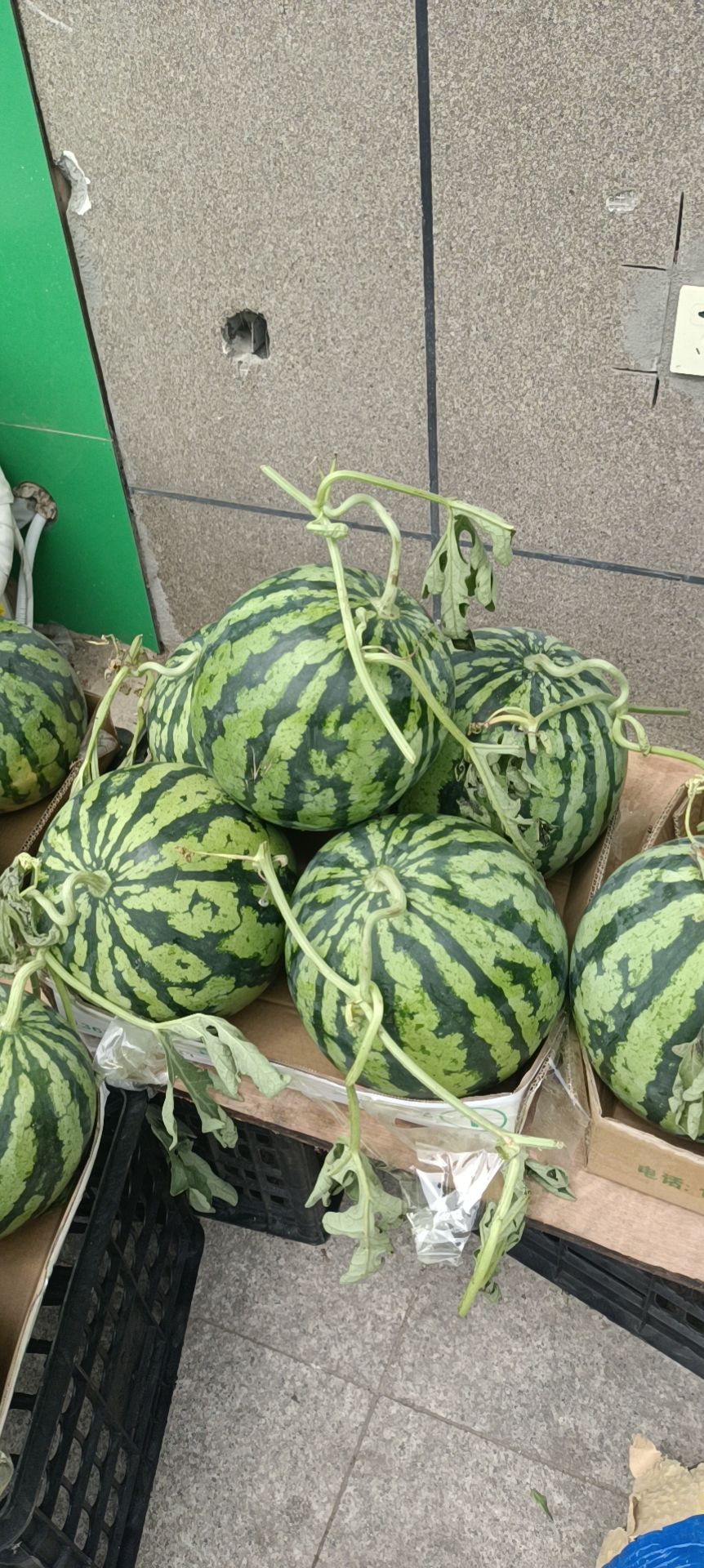 贝发精品水果(贝发·现代城店)