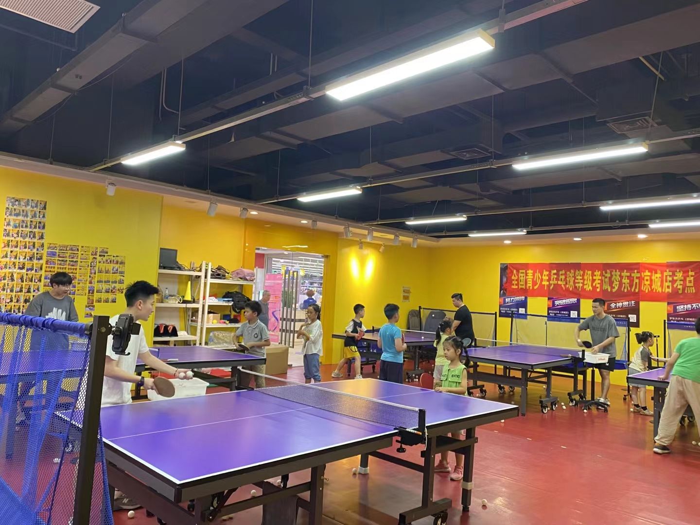 场地封面-梦东方乒乓