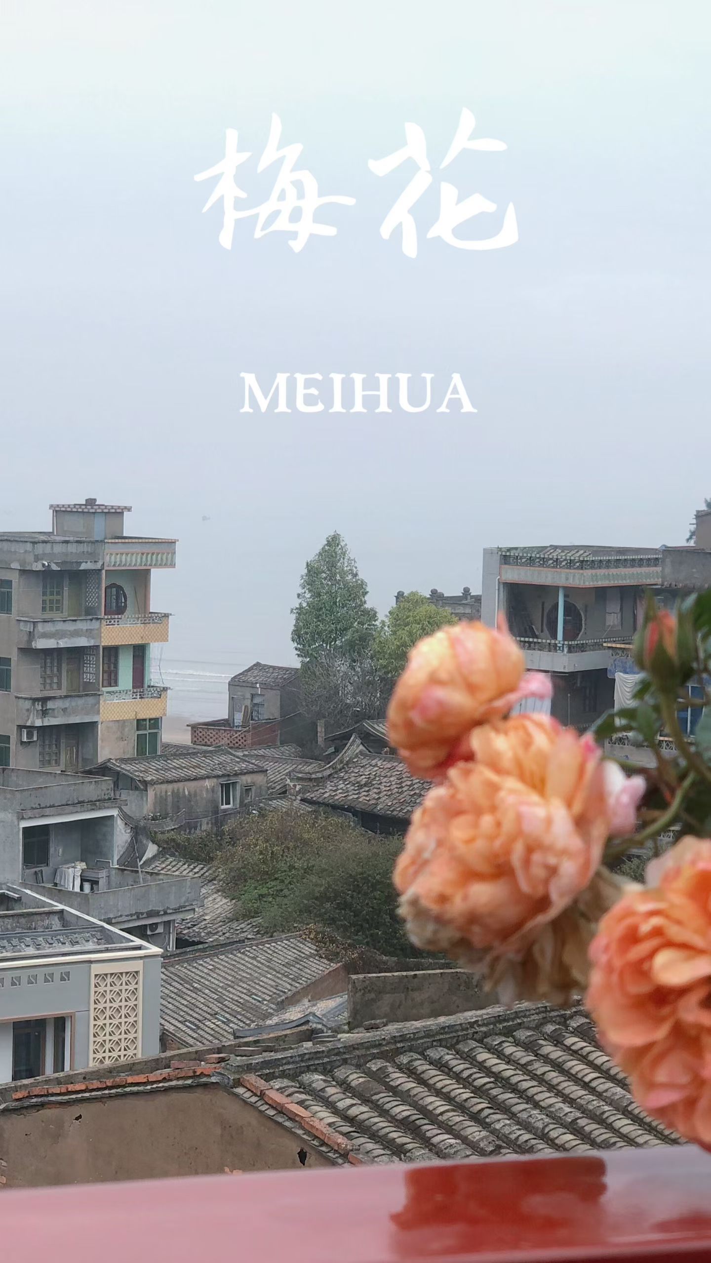 梅花古城旅行图片 3
