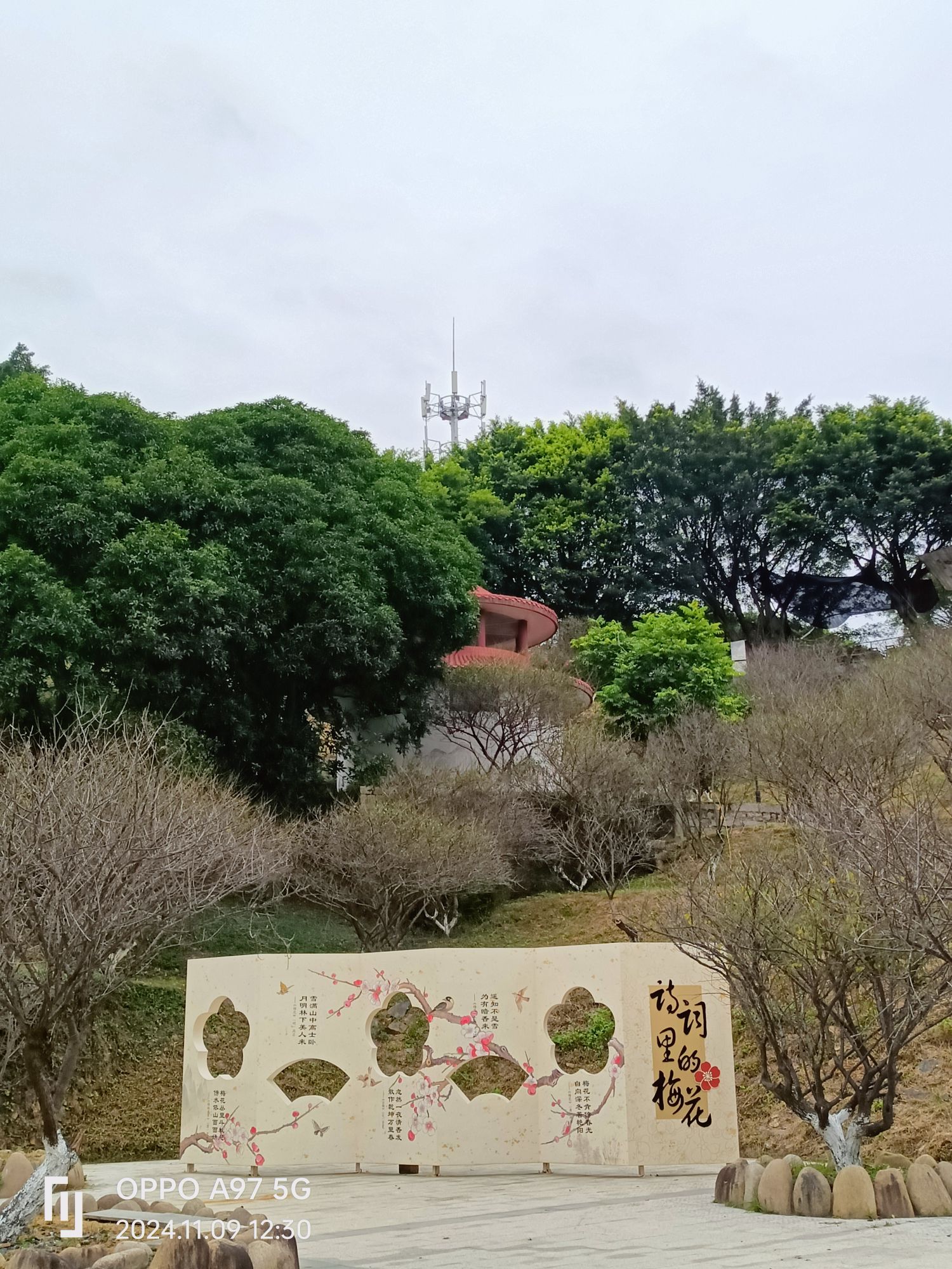 梅花古城旅行图片 2