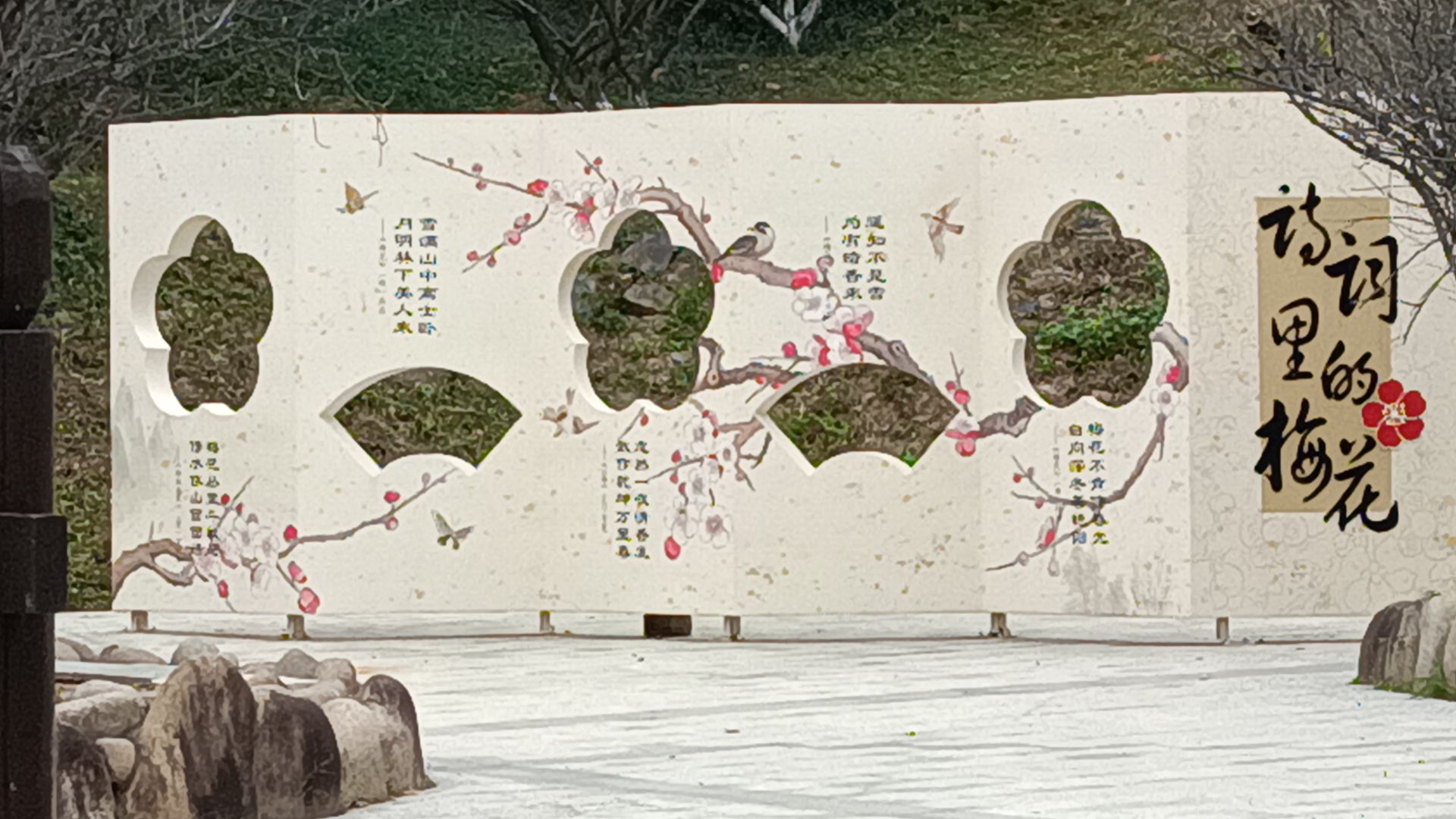 梅花古城旅行图片 3