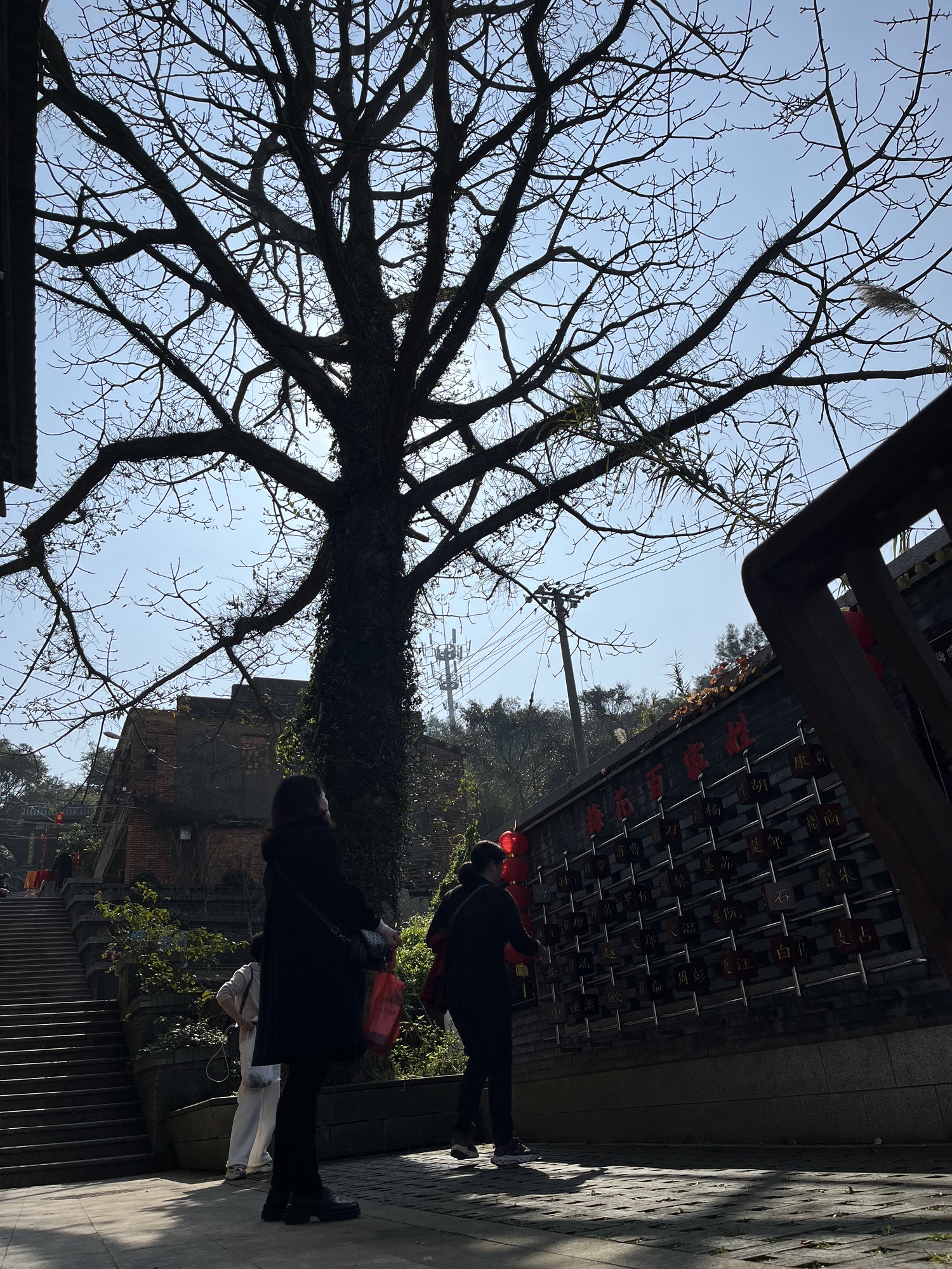 梅花古城旅行图片 3