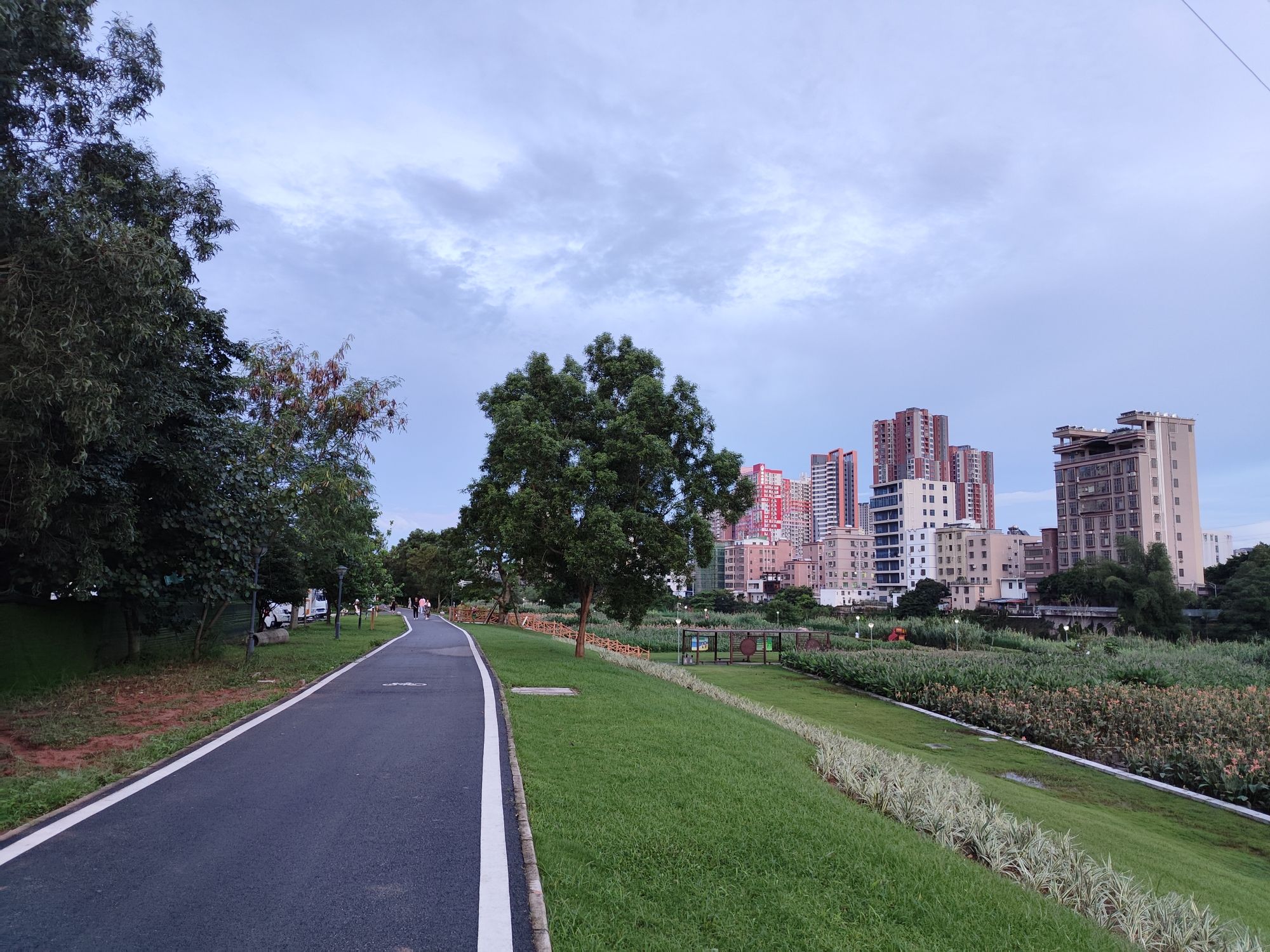 淡澳河生态湿地公园旅行图片 3