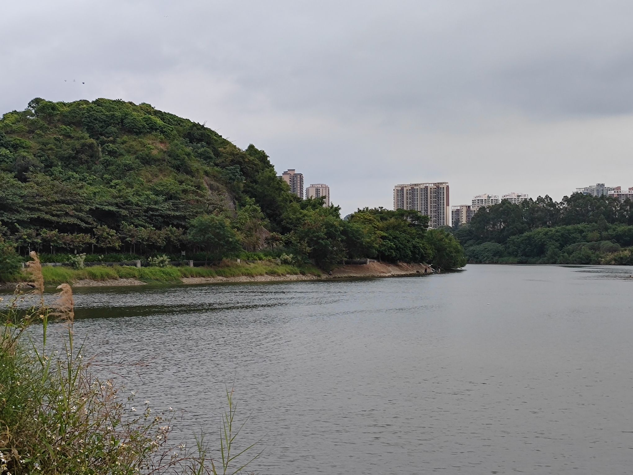 淡澳河生态湿地公园旅行图片 2