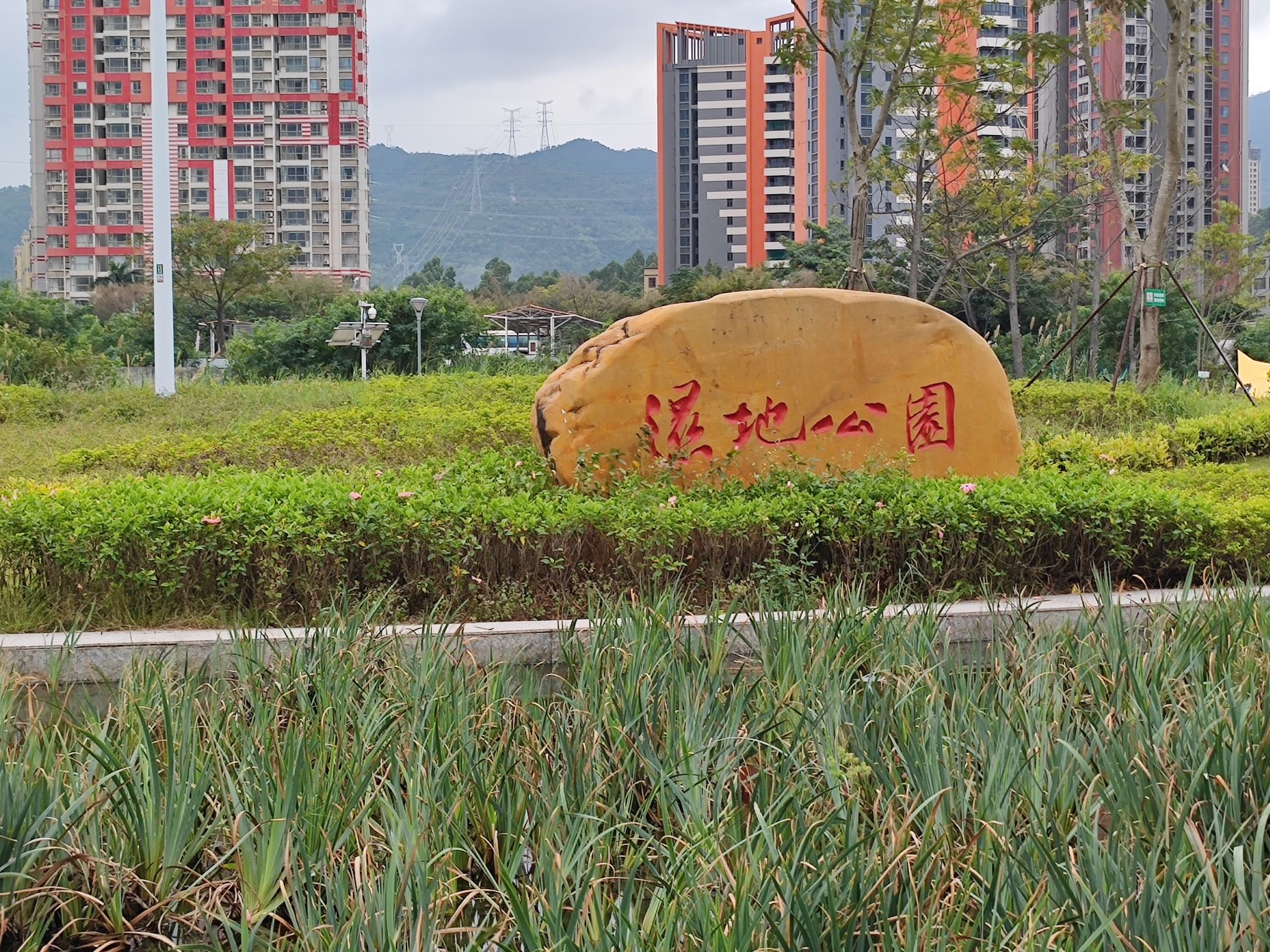 淡澳河生态湿地公园旅行图片 1