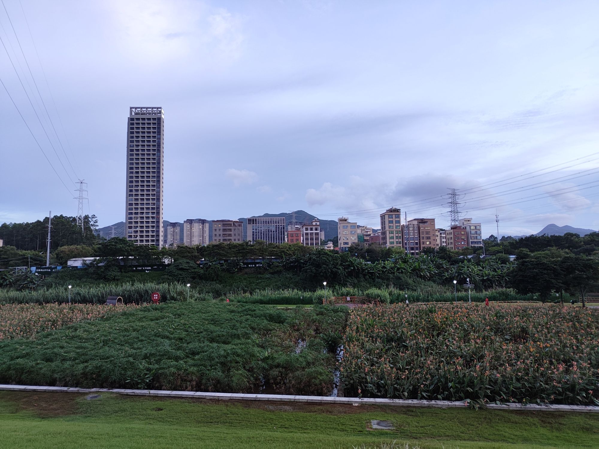 淡澳河生态湿地公园旅行图片 2