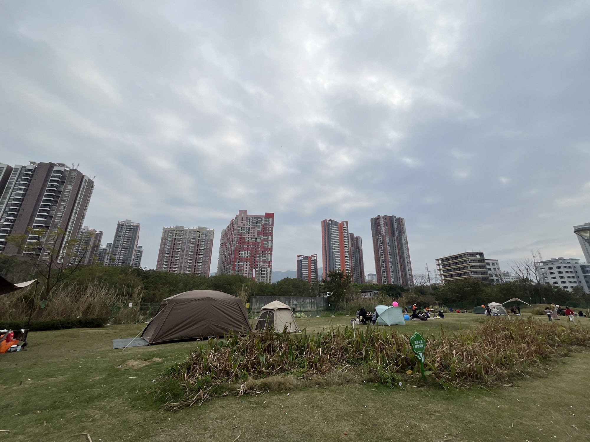 淡澳河生态湿地公园旅行图片 2