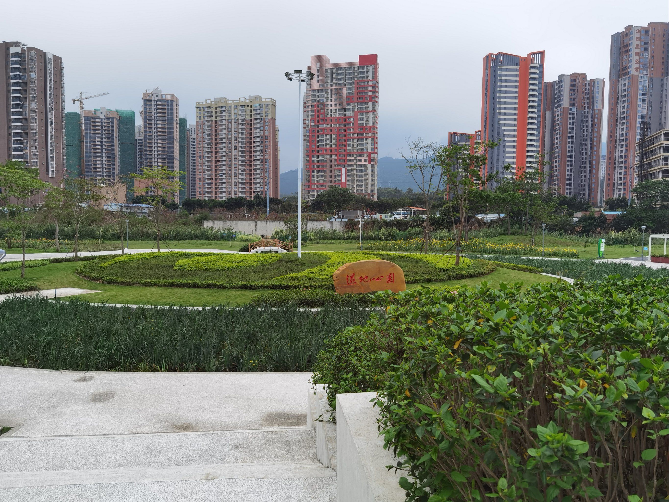 淡澳河生态湿地公园旅行图片 3