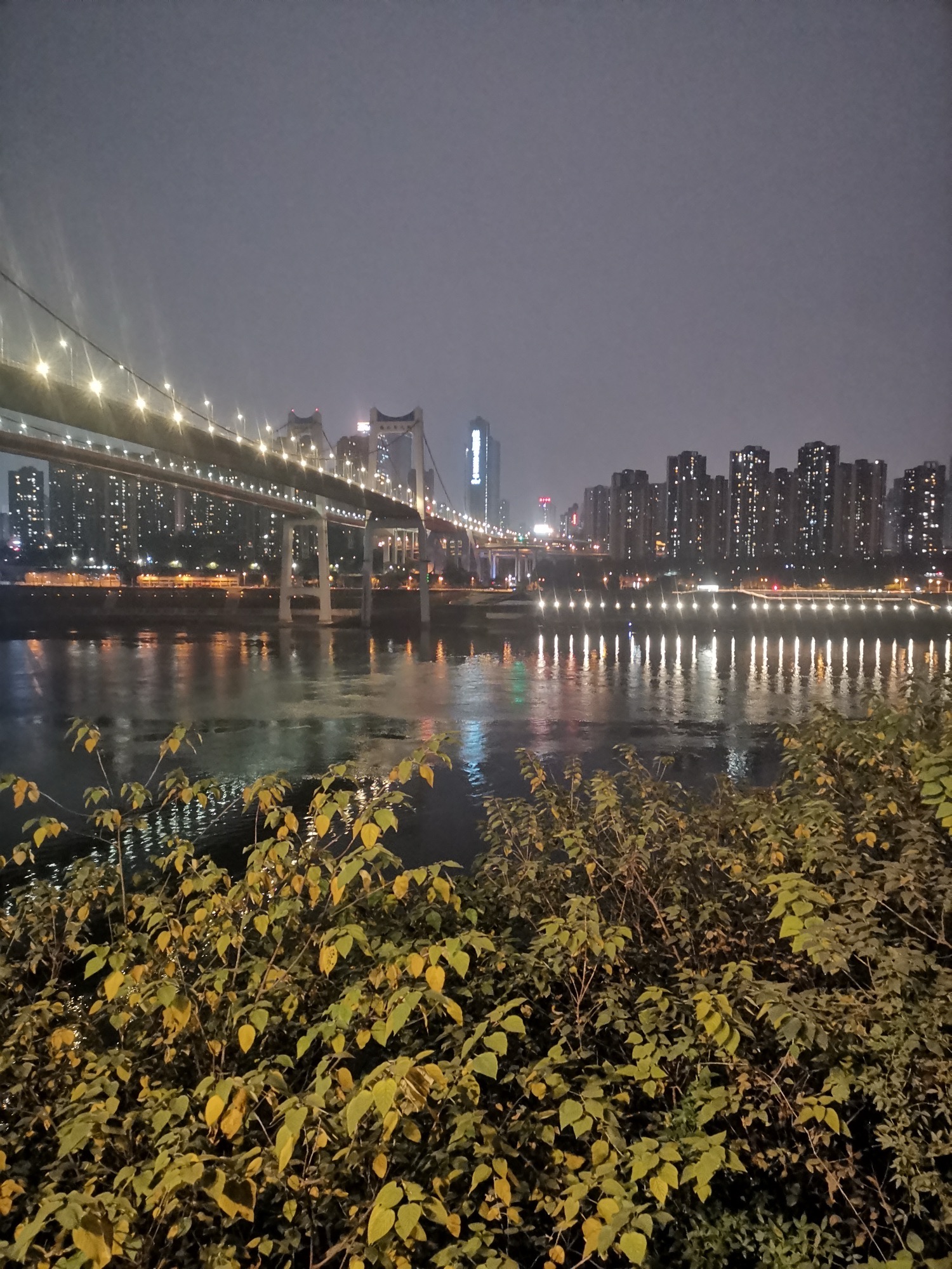 哑巴洞江滩公园D区旅行图片 3