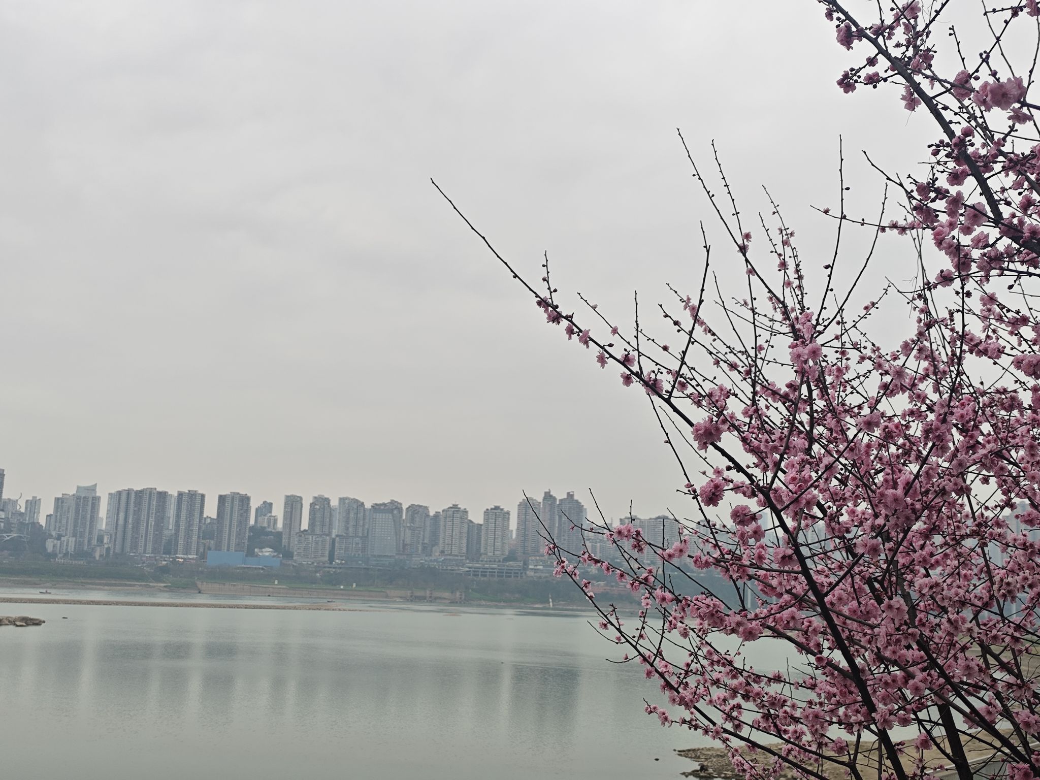 哑巴洞江滩公园D区旅行图片 2