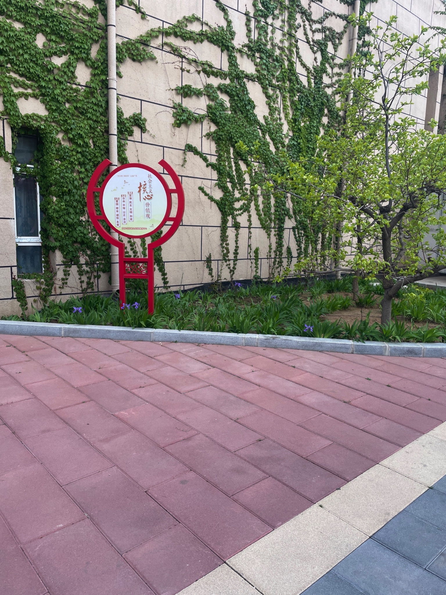 连胜街口袋公园旅行图片 3