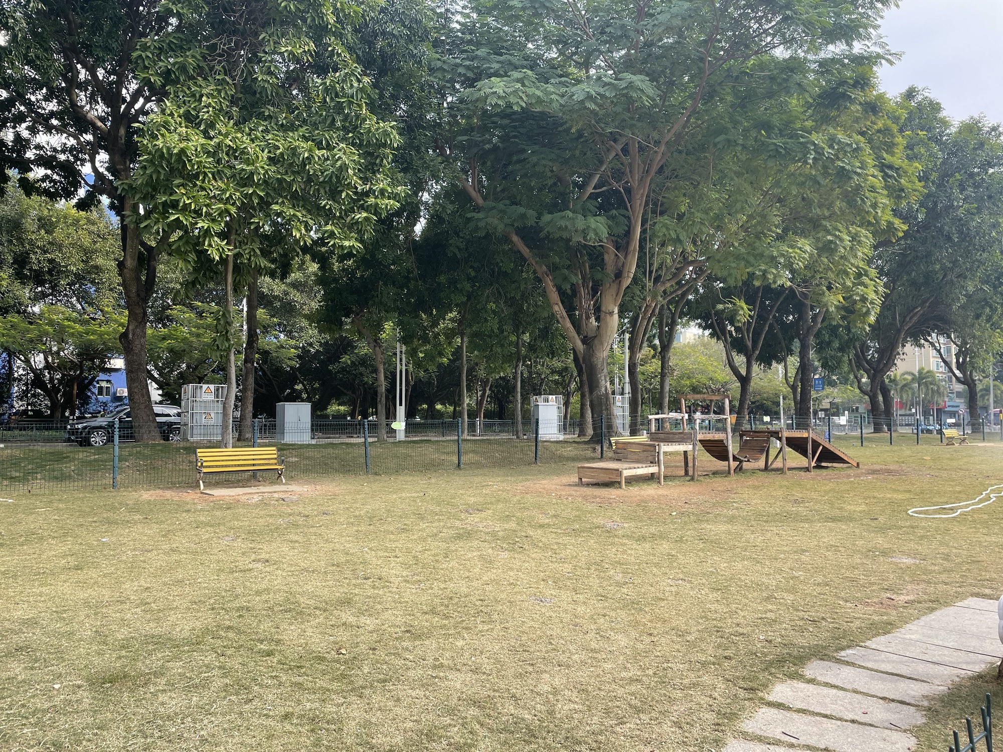 前山滨河公园宠物公园旅行图片 3