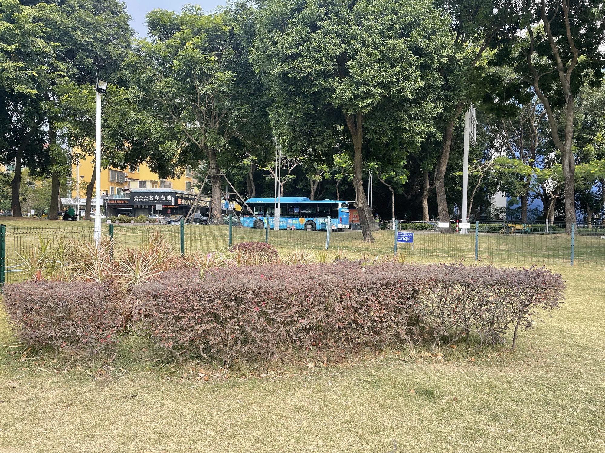 前山滨河公园宠物公园旅行图片 2