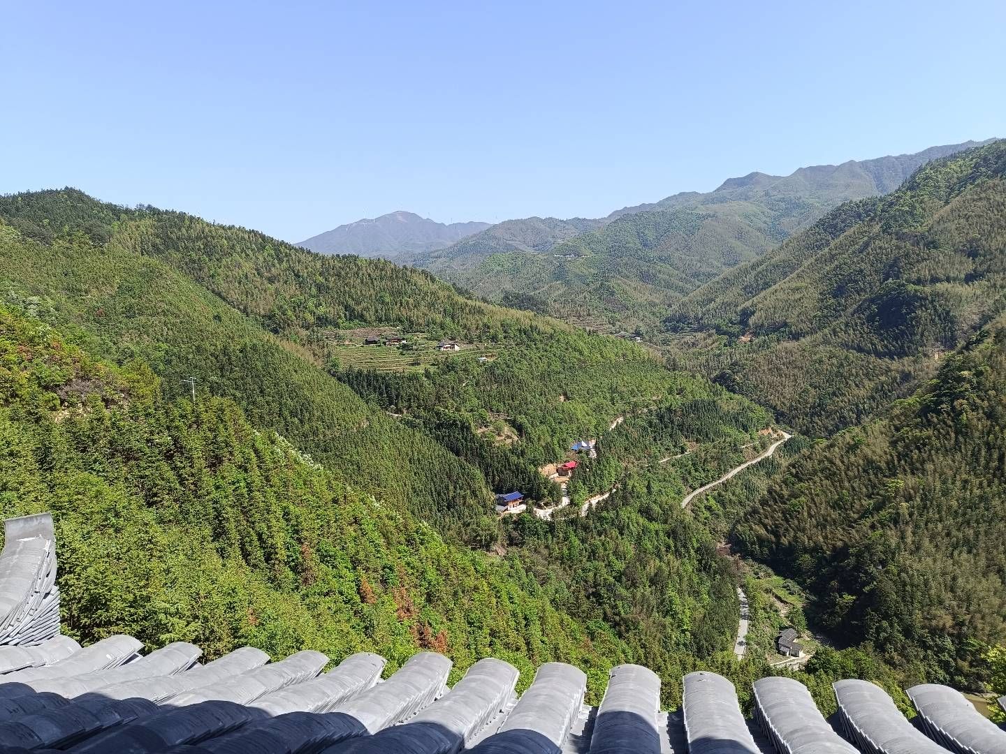 中国城步罗家水村千年银杏旅游度假区