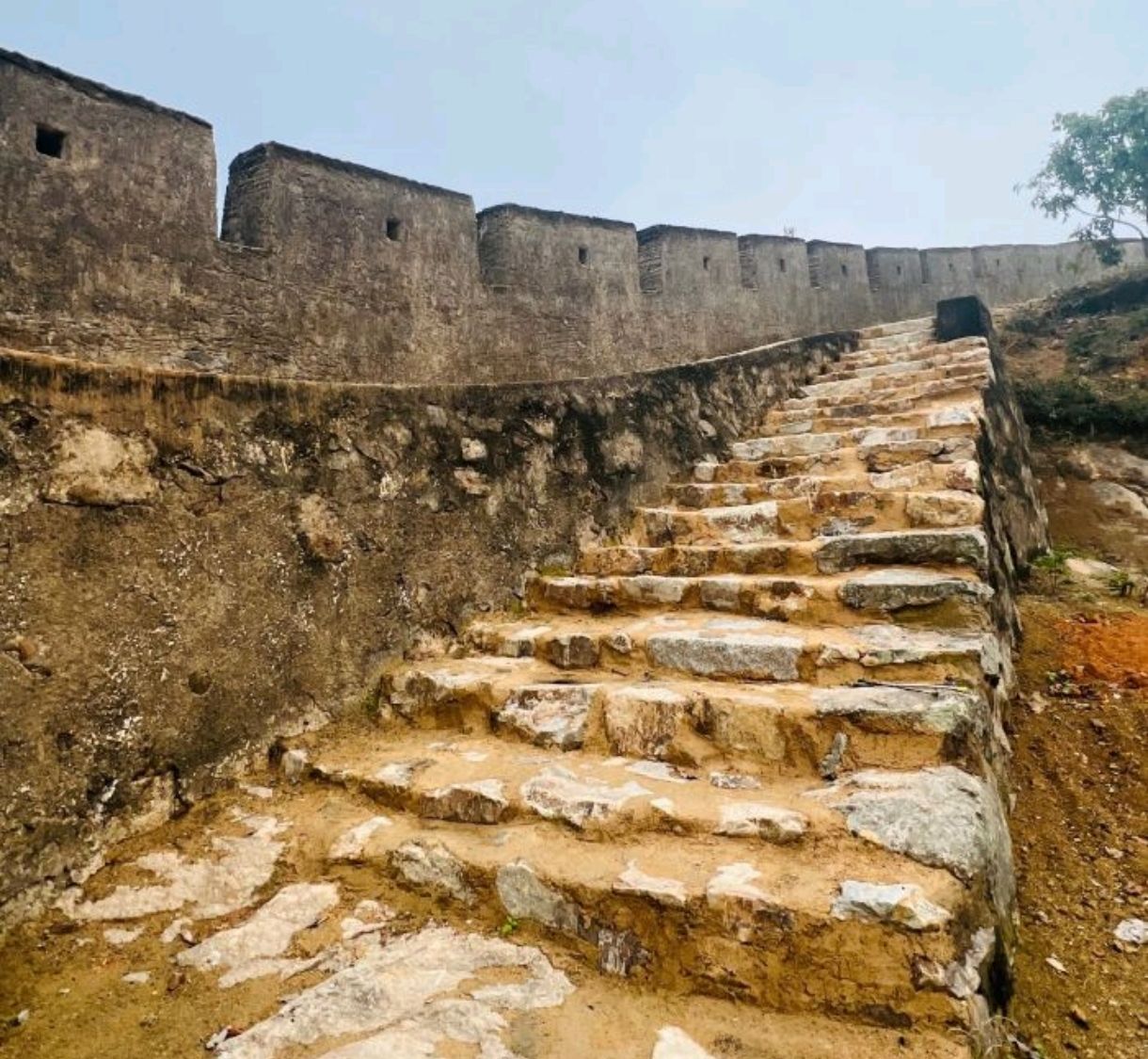 亲水栈道旅行图片 3