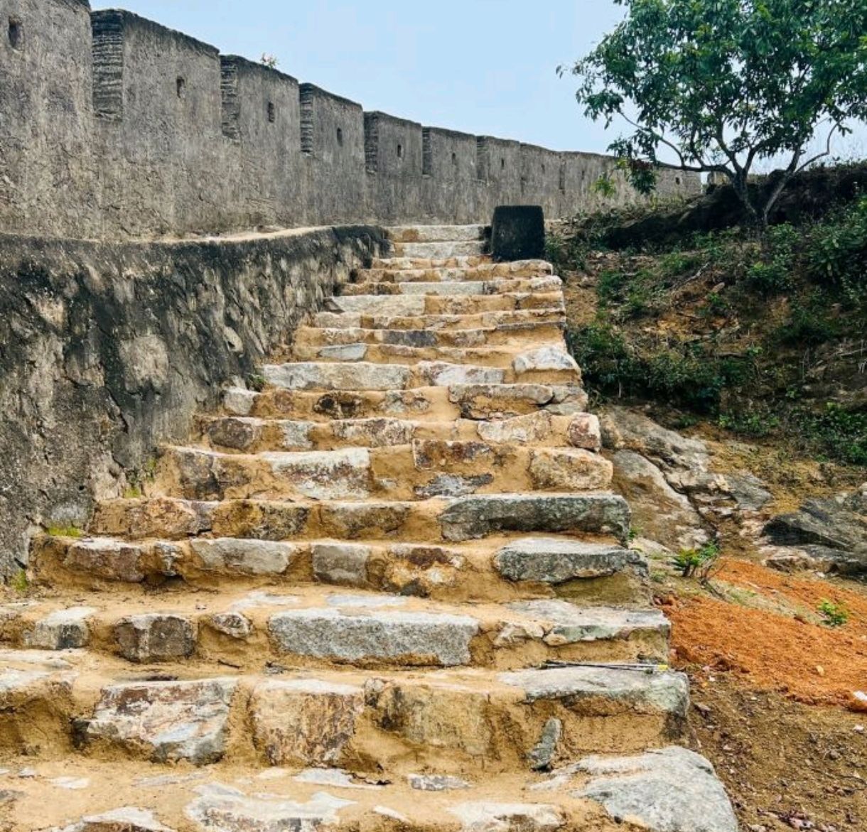 亲水栈道旅行图片 1