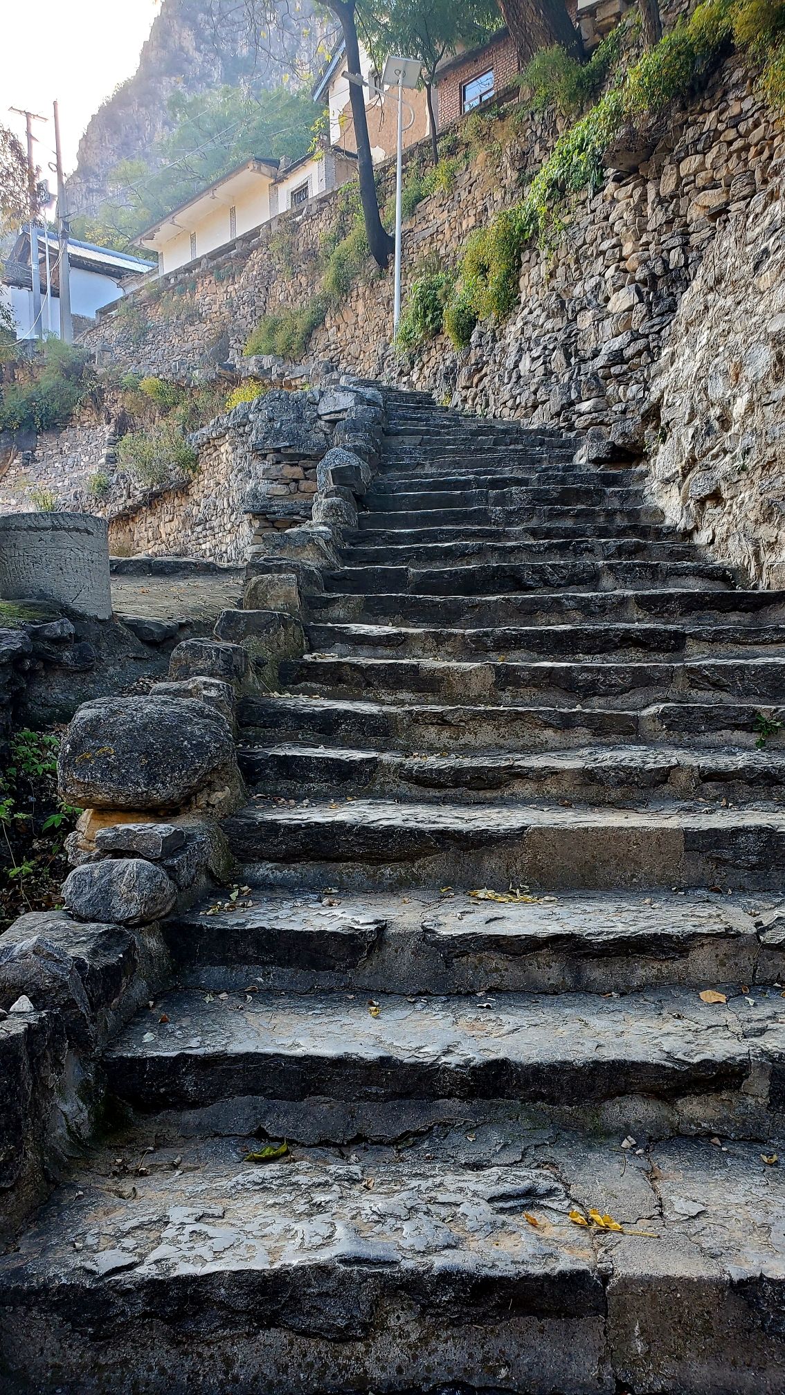榔树园村(古村落)旅行图片