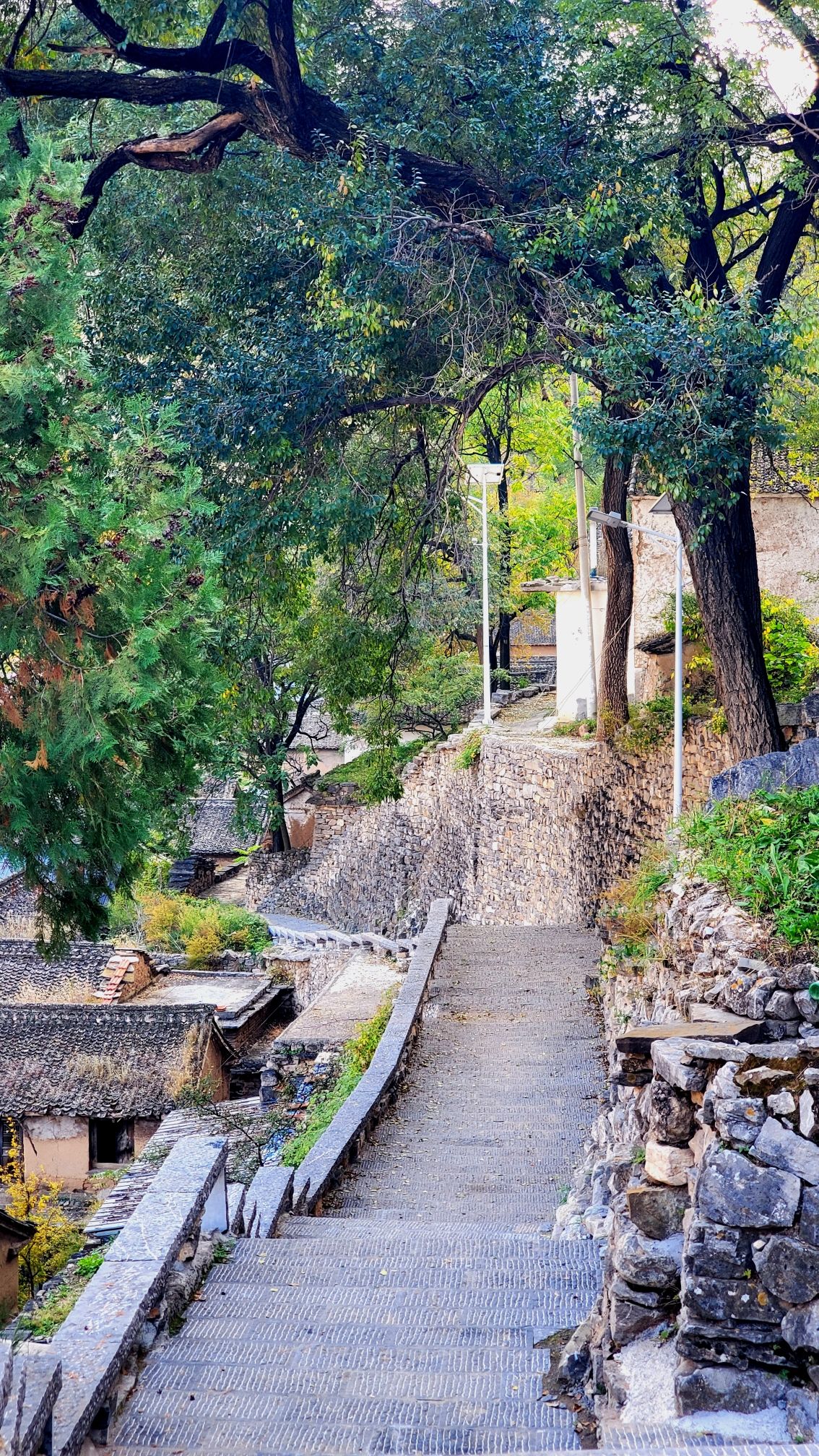 榔树园村(古村落)旅行图片 3