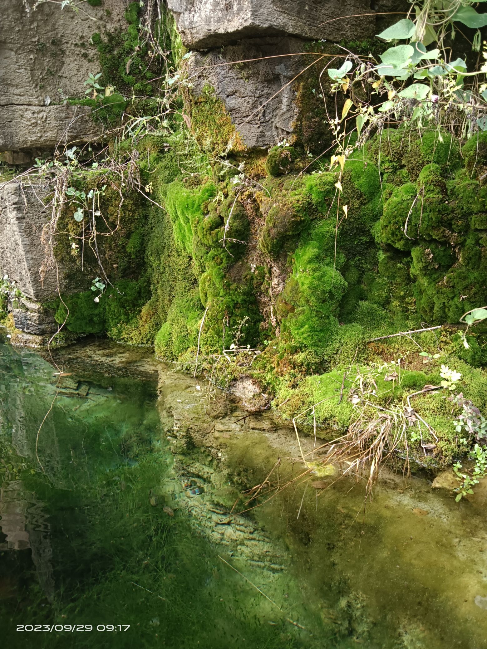 榔树园村(古村落)旅行图片 1