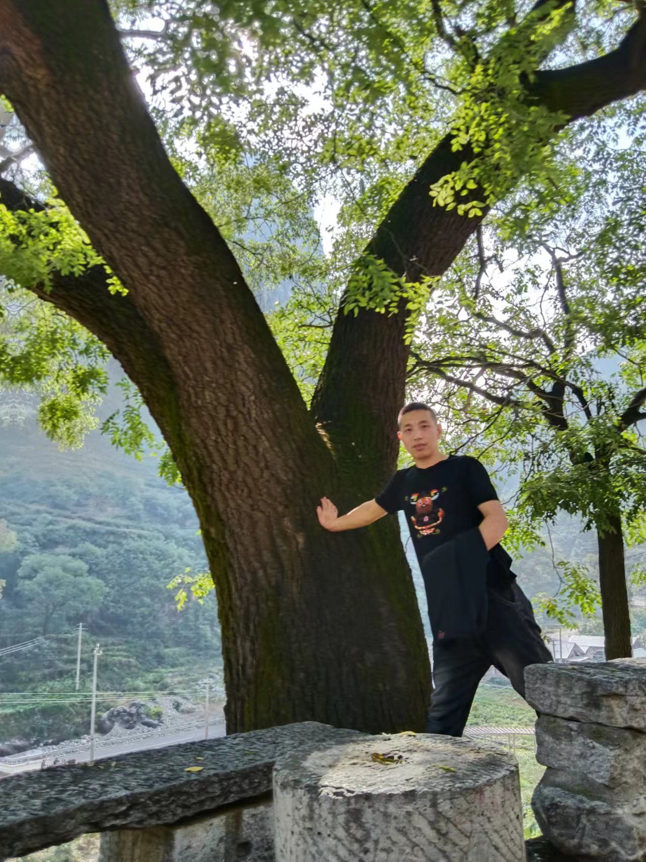 榔树园村(古村落)旅行图片 2