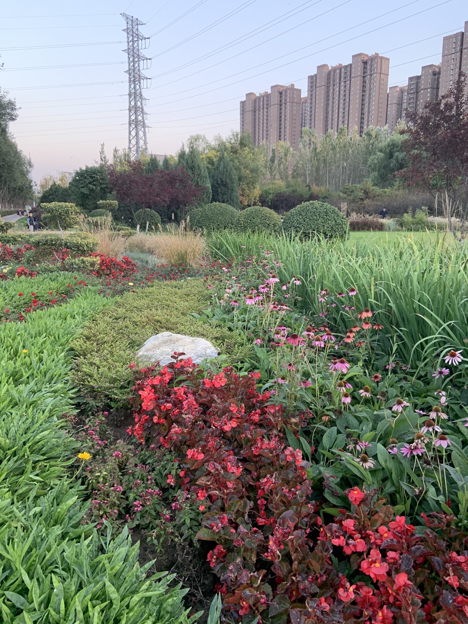 保定鲁岗公园旅行图片 3