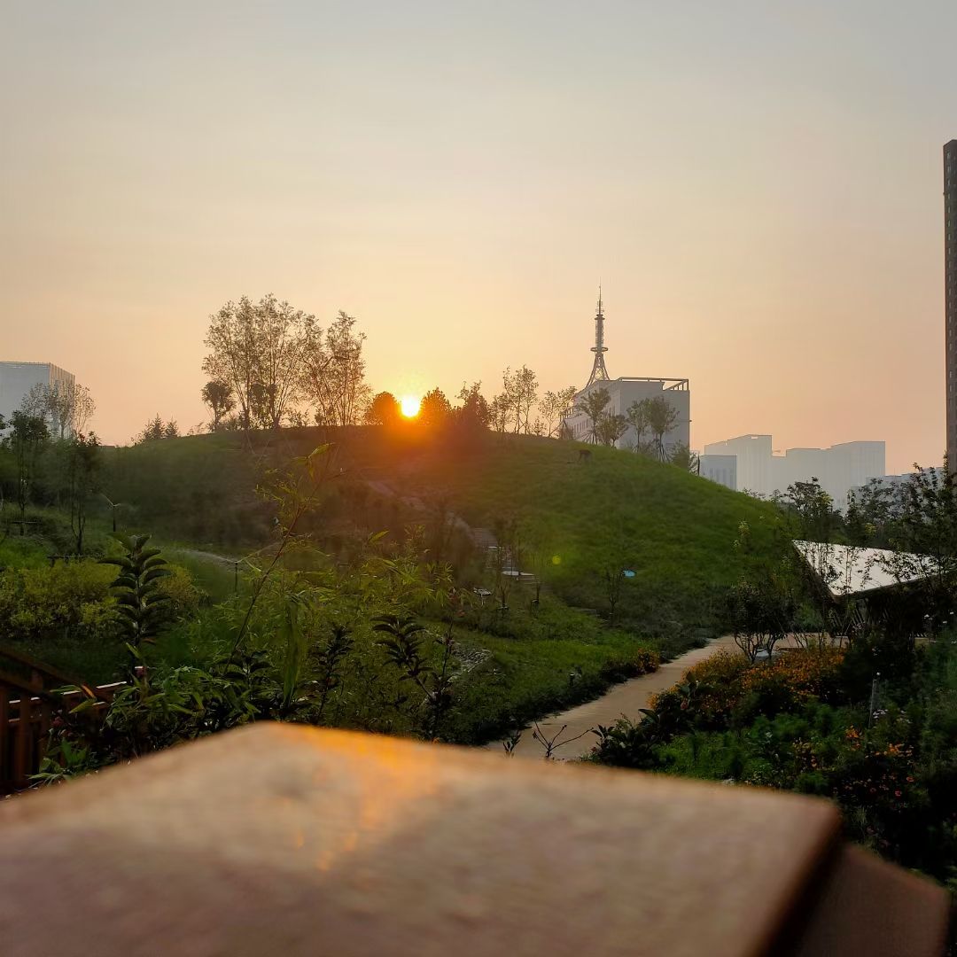 保定鲁岗公园旅行图片 2
