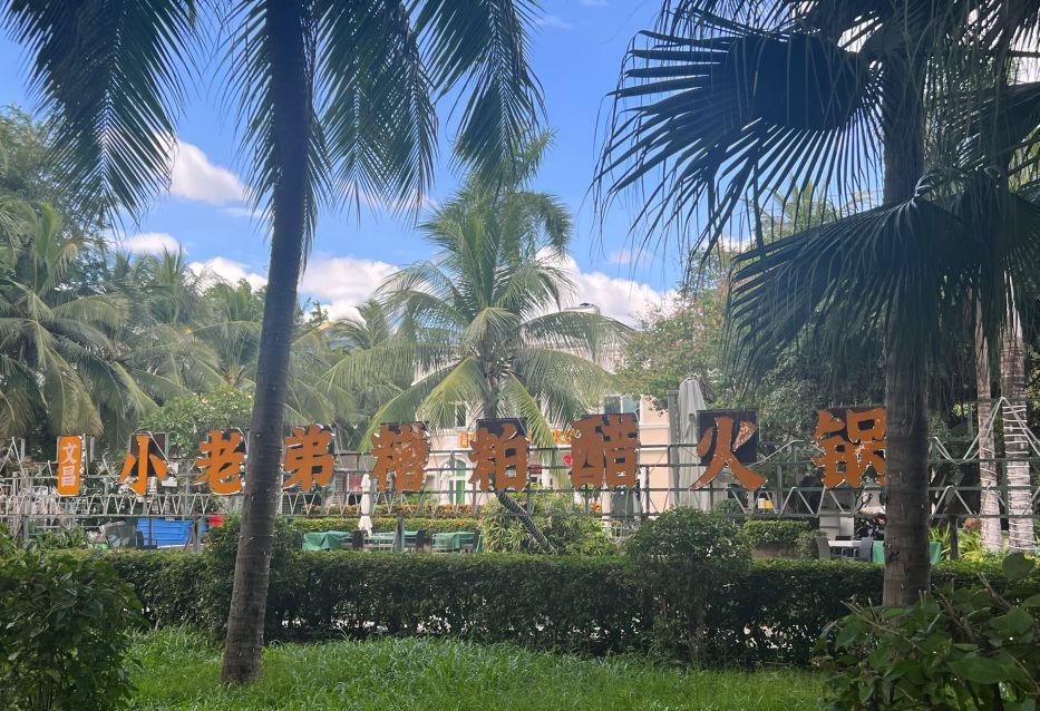 文昌小老弟糟粕醋·海南椰子鸡椰奶鸡(三亚湾别墅店)