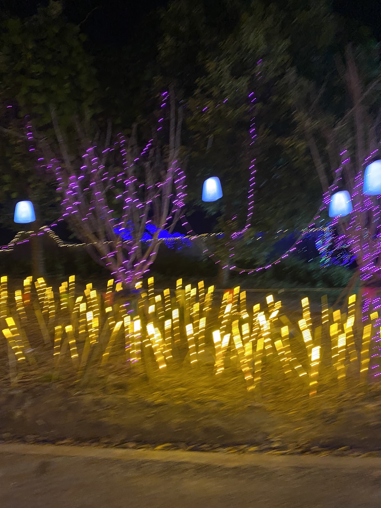 上海张马旅行图片 2