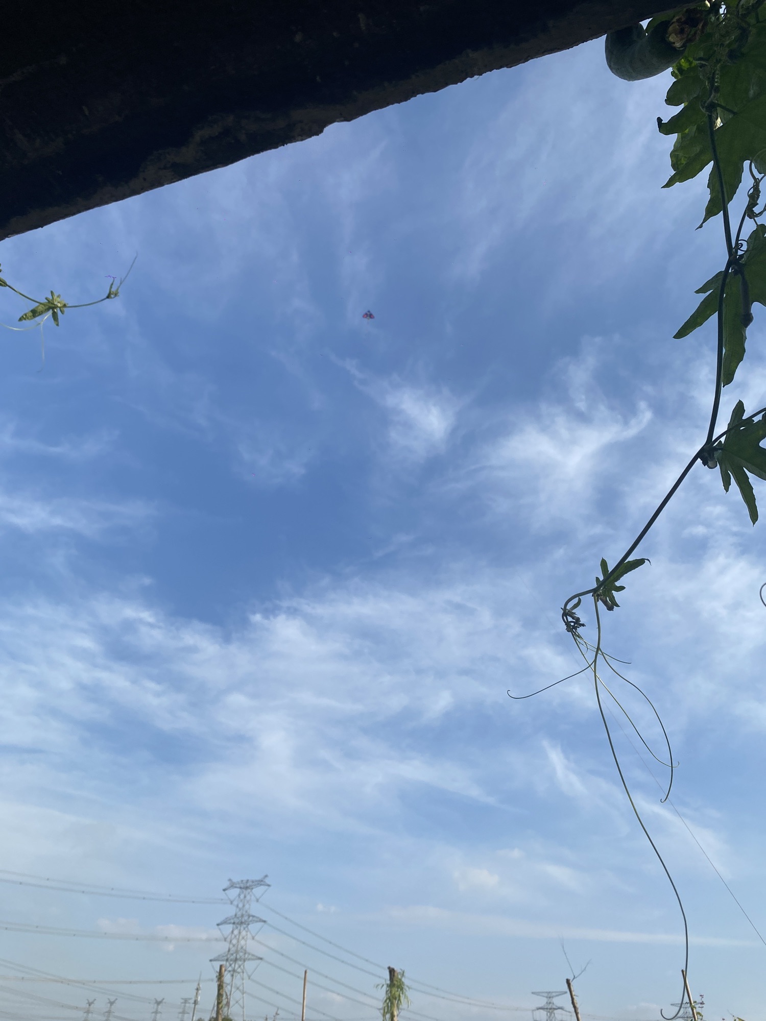 上海张马旅行图片 1