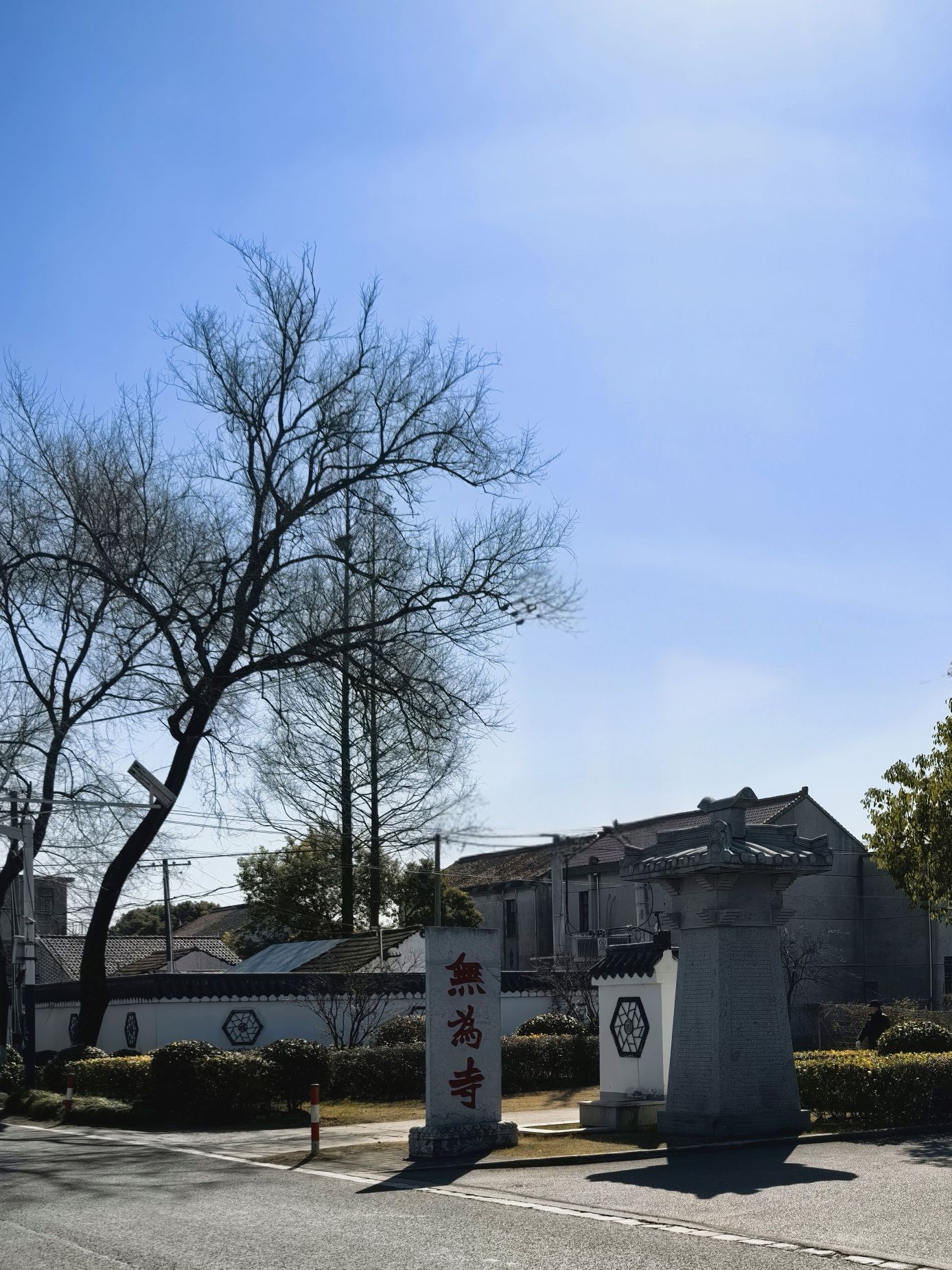 上海西岸氧吧旅行图片 1