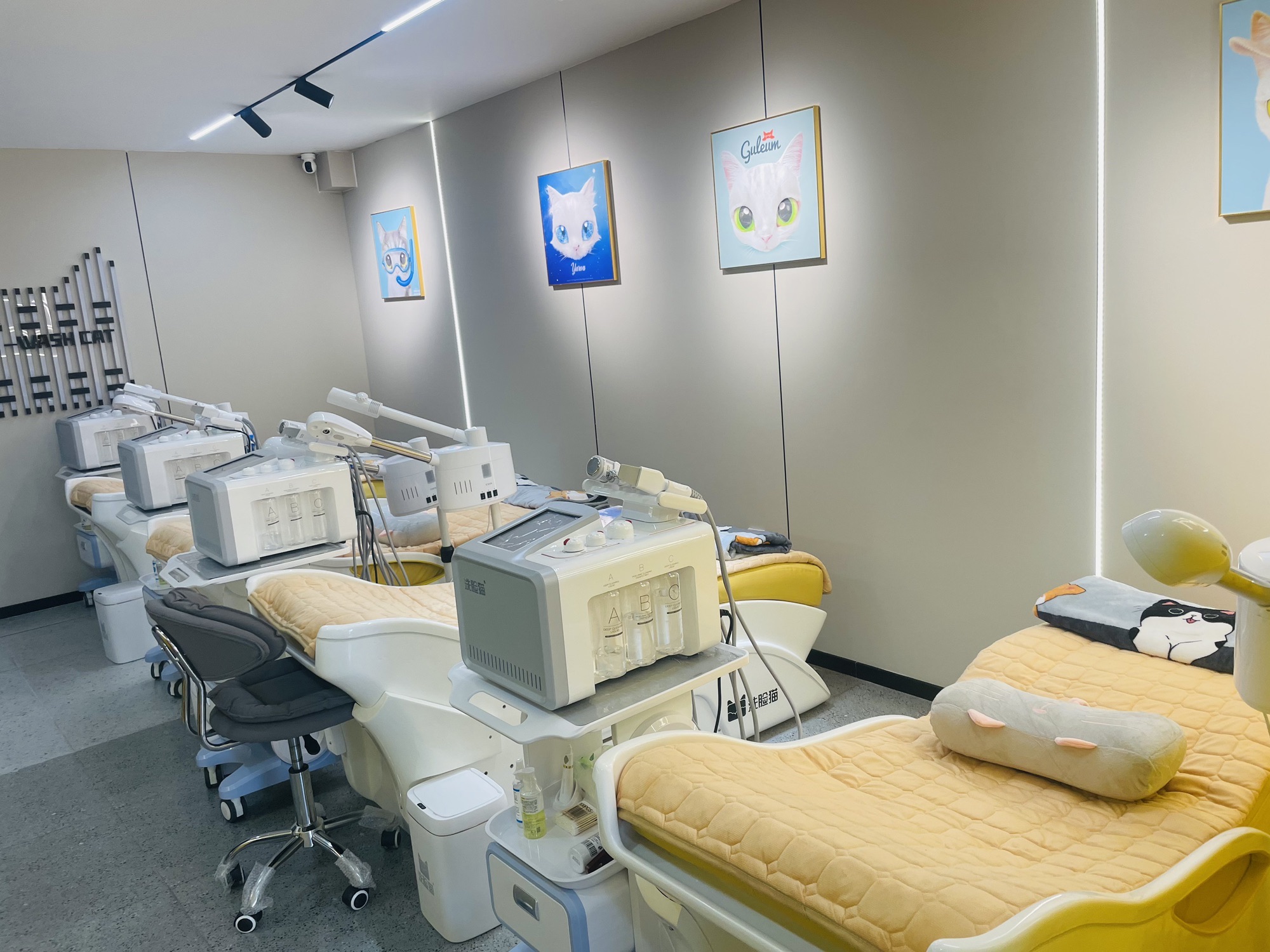 洗脸猫(邢台天一城店)