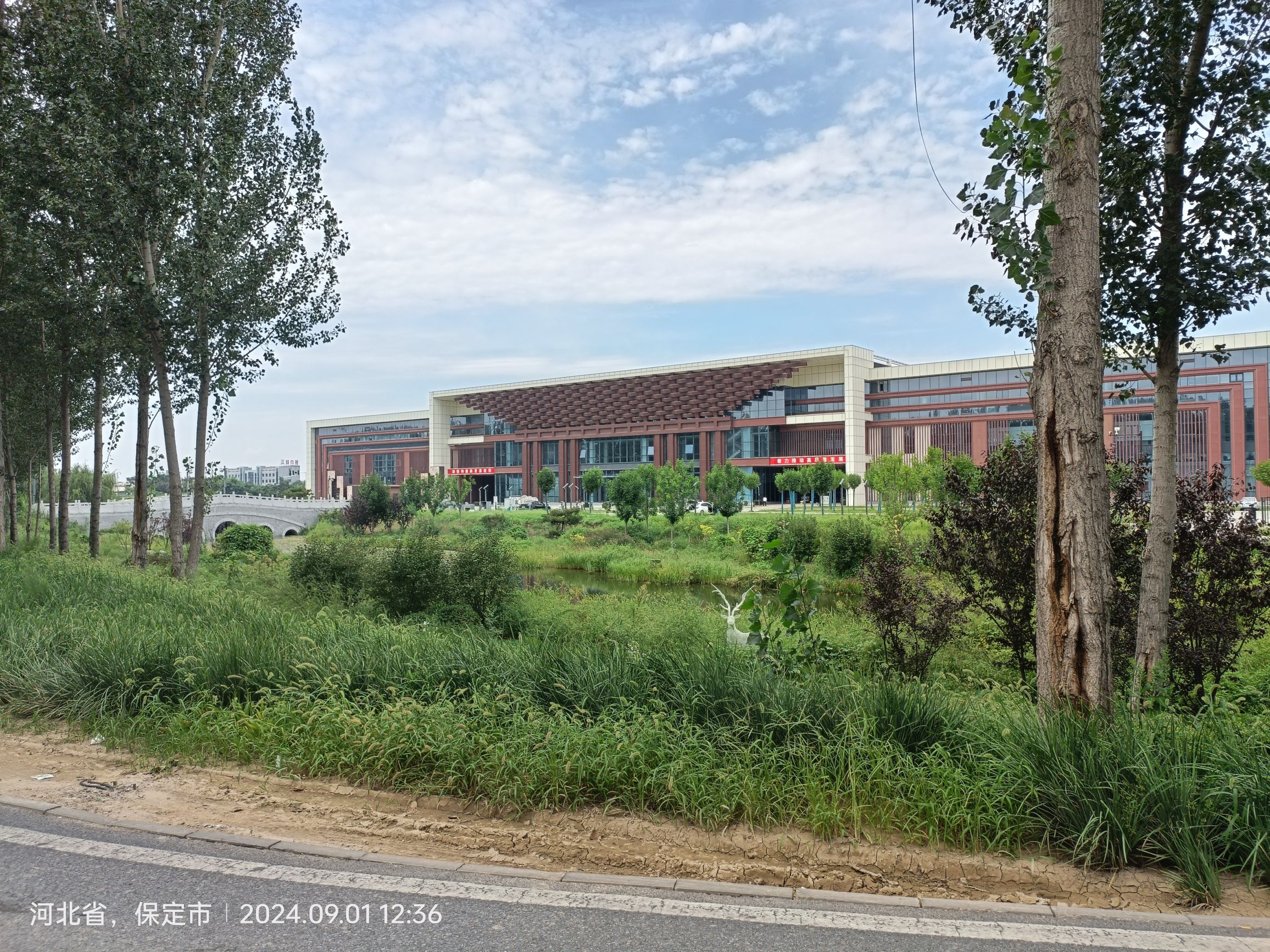 龙湖公园旅行图片 3