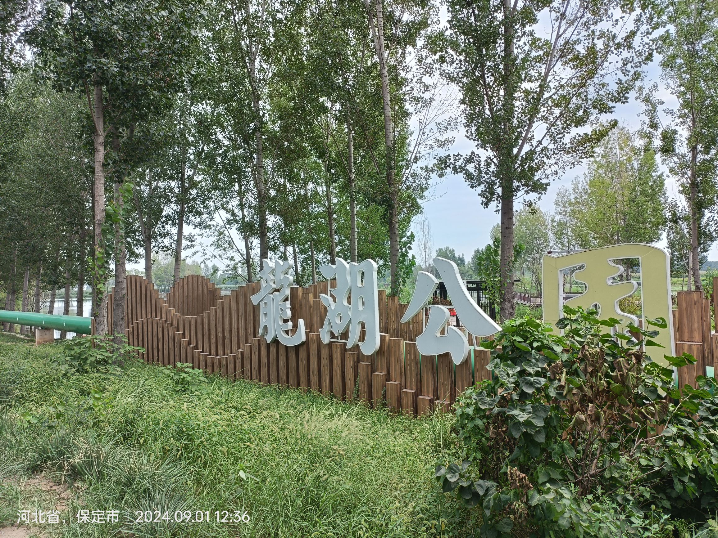 龙湖公园旅行图片 1