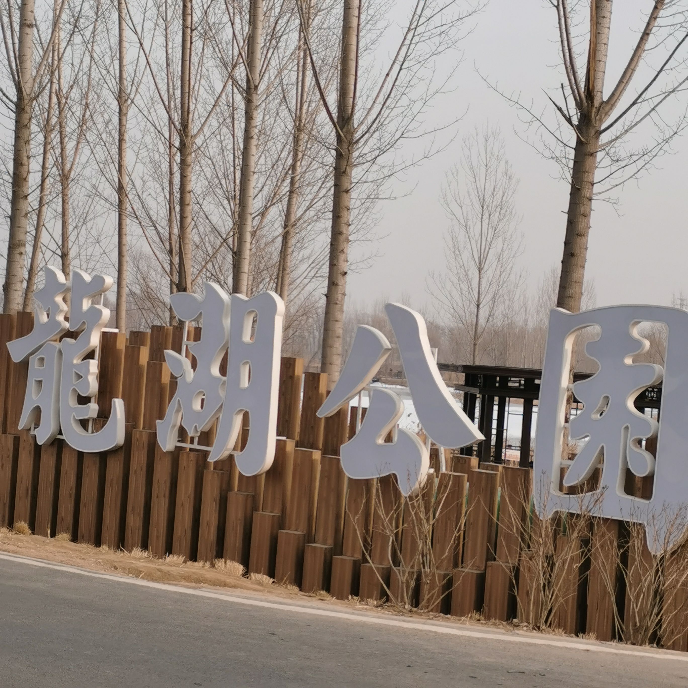龙湖公园旅行图片 2