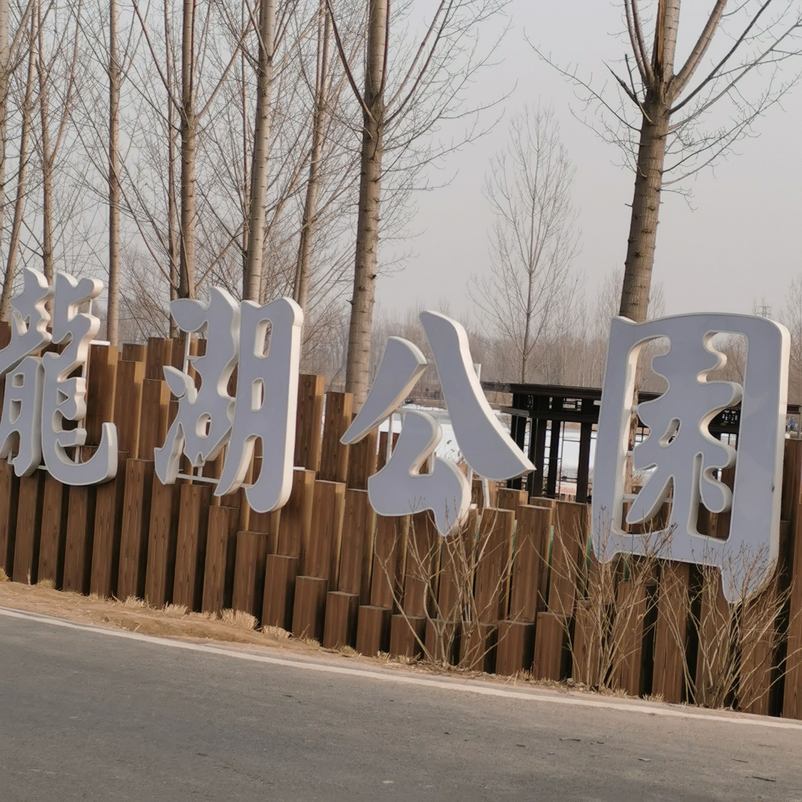 龙湖公园旅行图片 1