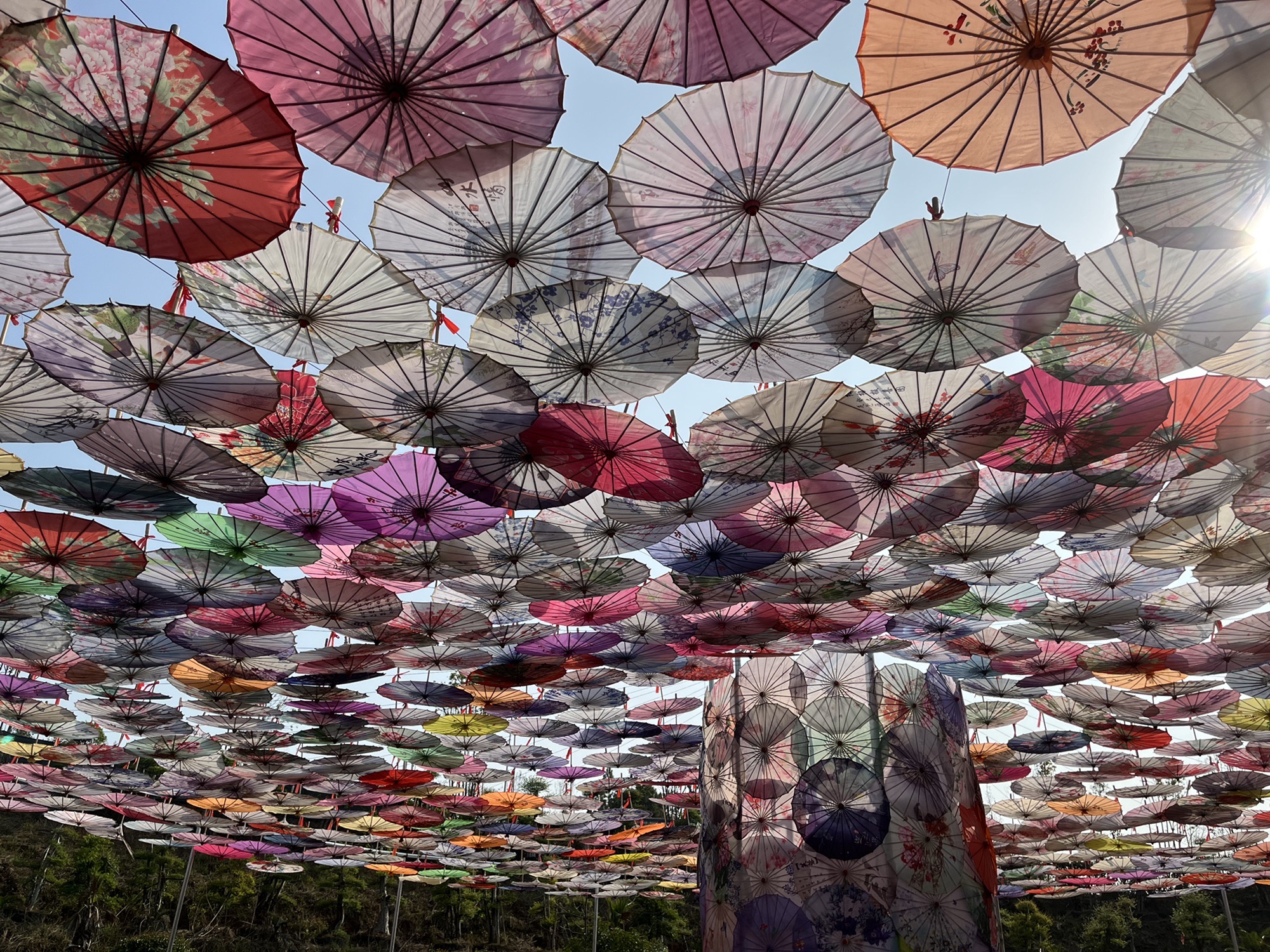 花奇里景区旅行图片 2