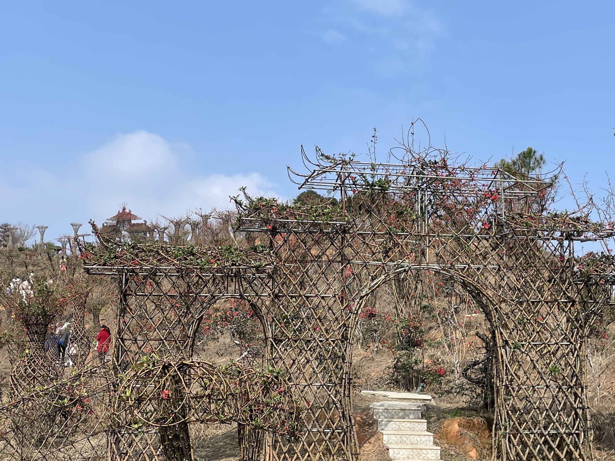 花奇里景区旅行图片 3